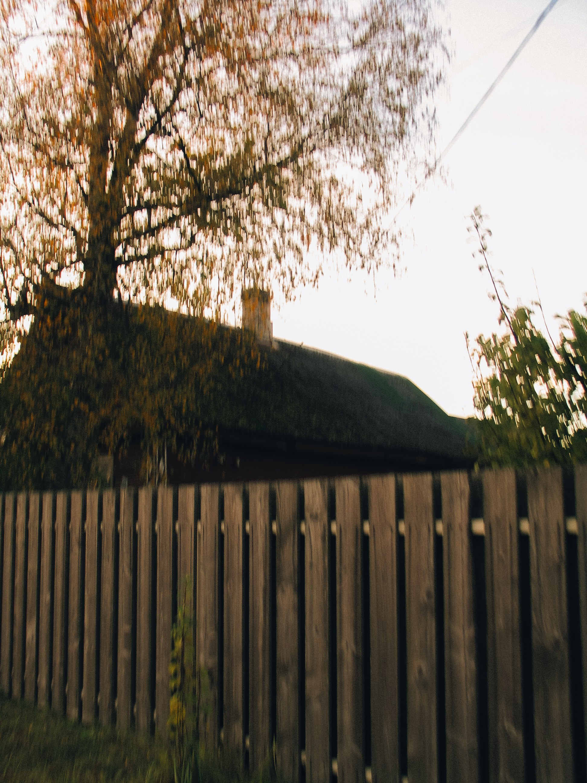 ДР на даче Арины | окт 2024