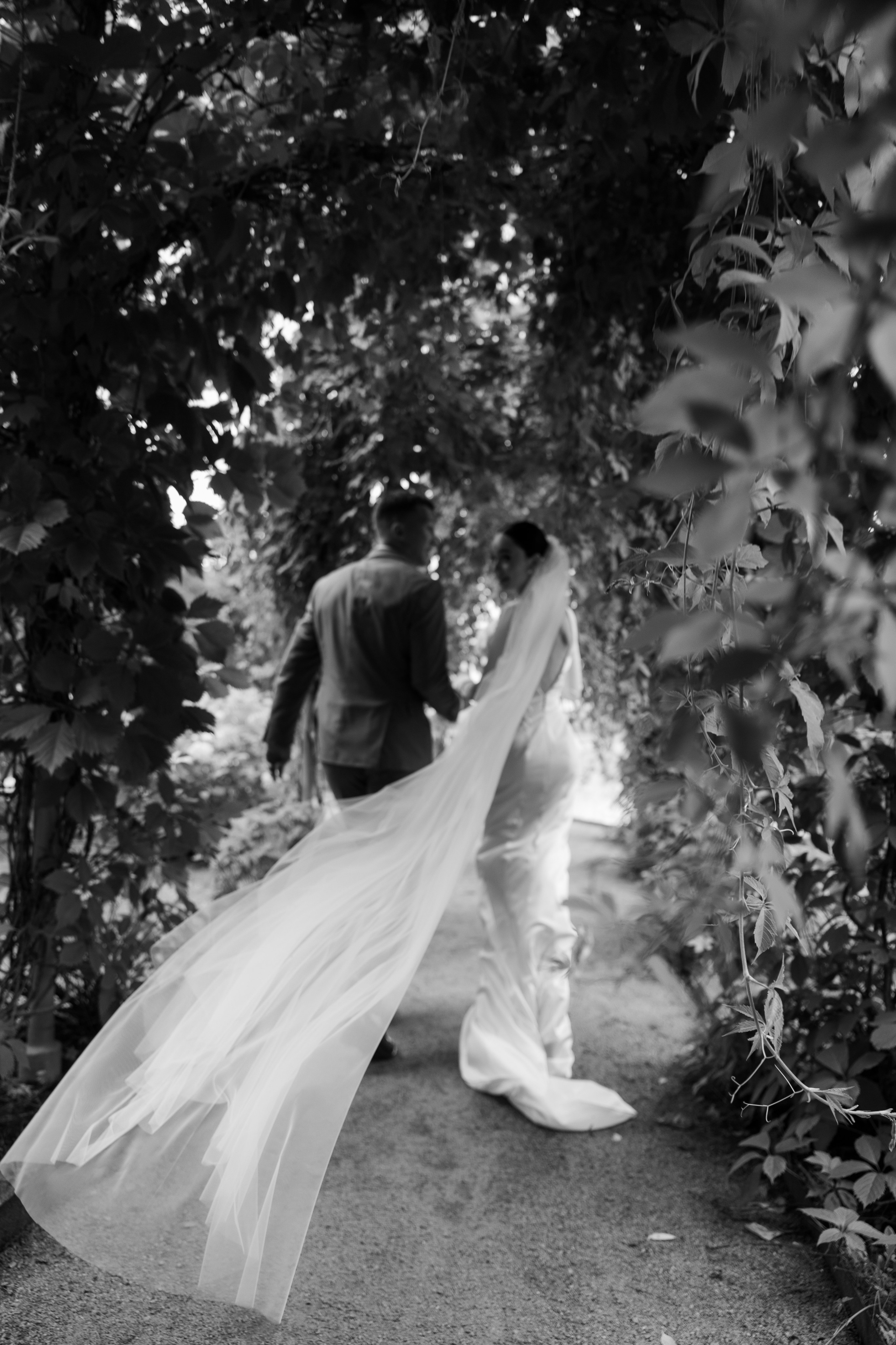 Диана и Михаил. Свадебный фотограф