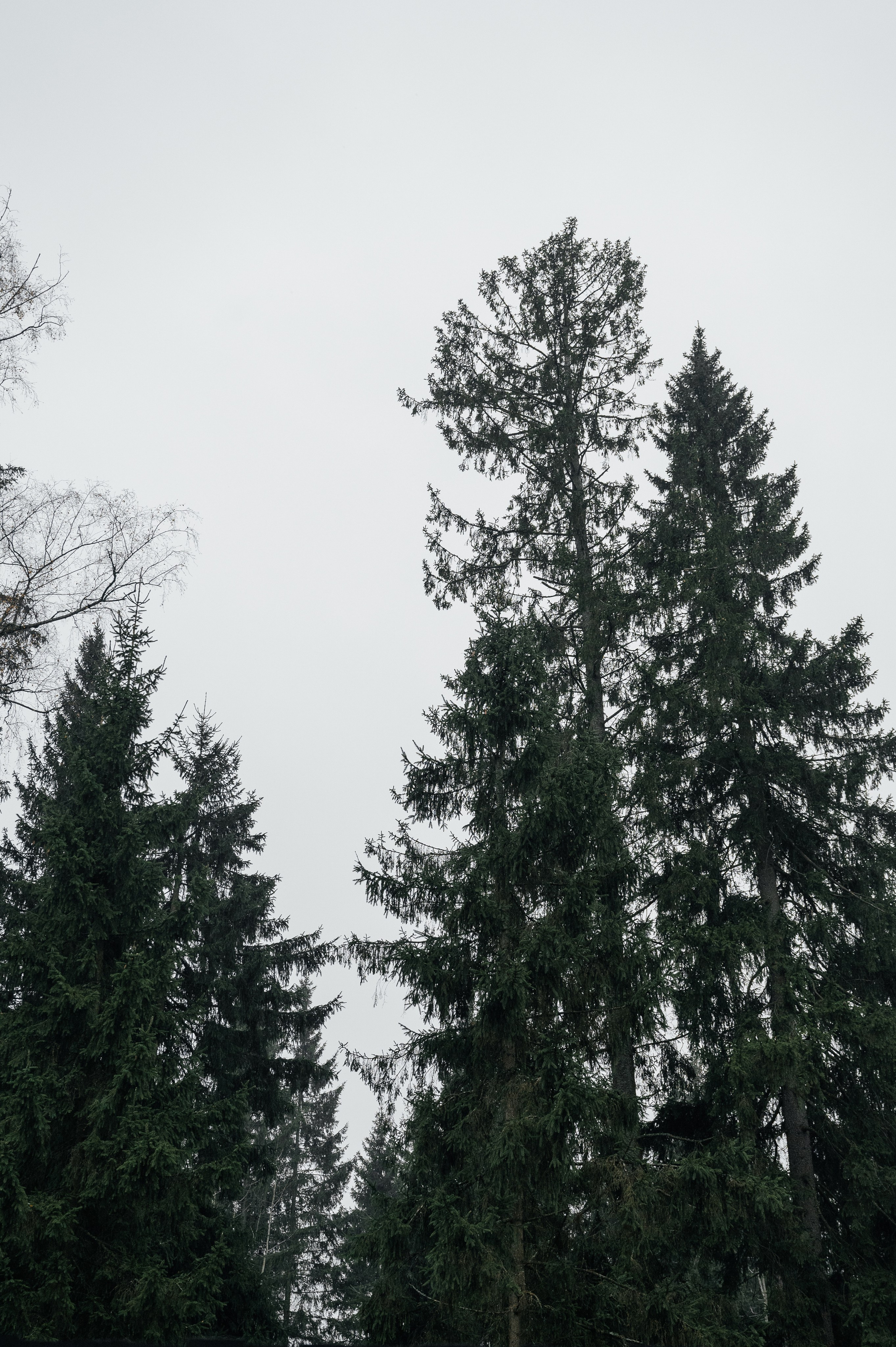 Невероятно атмосферный семейный ужин. Wedding photographer in Moscow and around the world Andrey Medvednikov