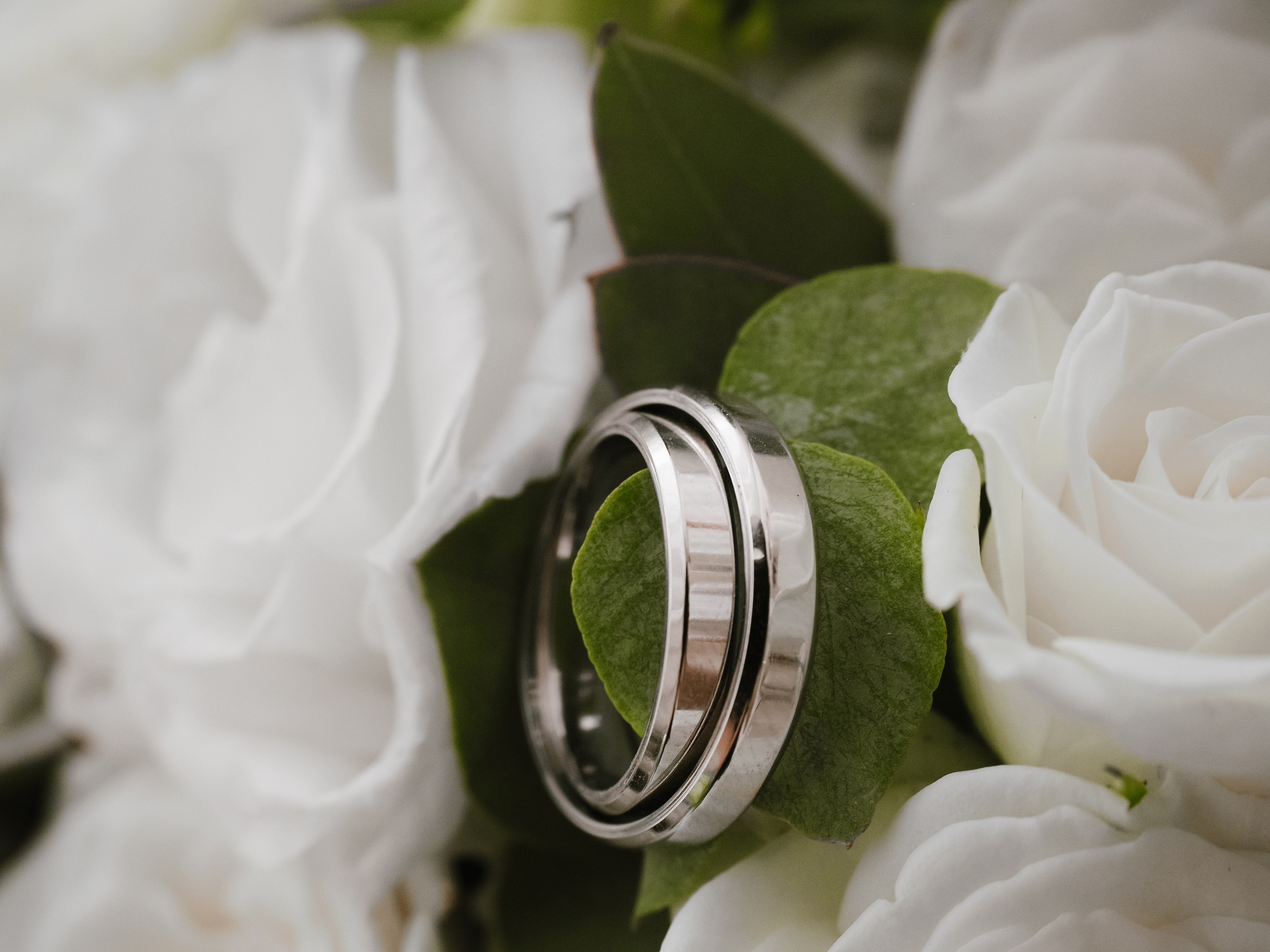 Даша и Максим. Фотограф Рязань. Семейный Свадебный фотограф