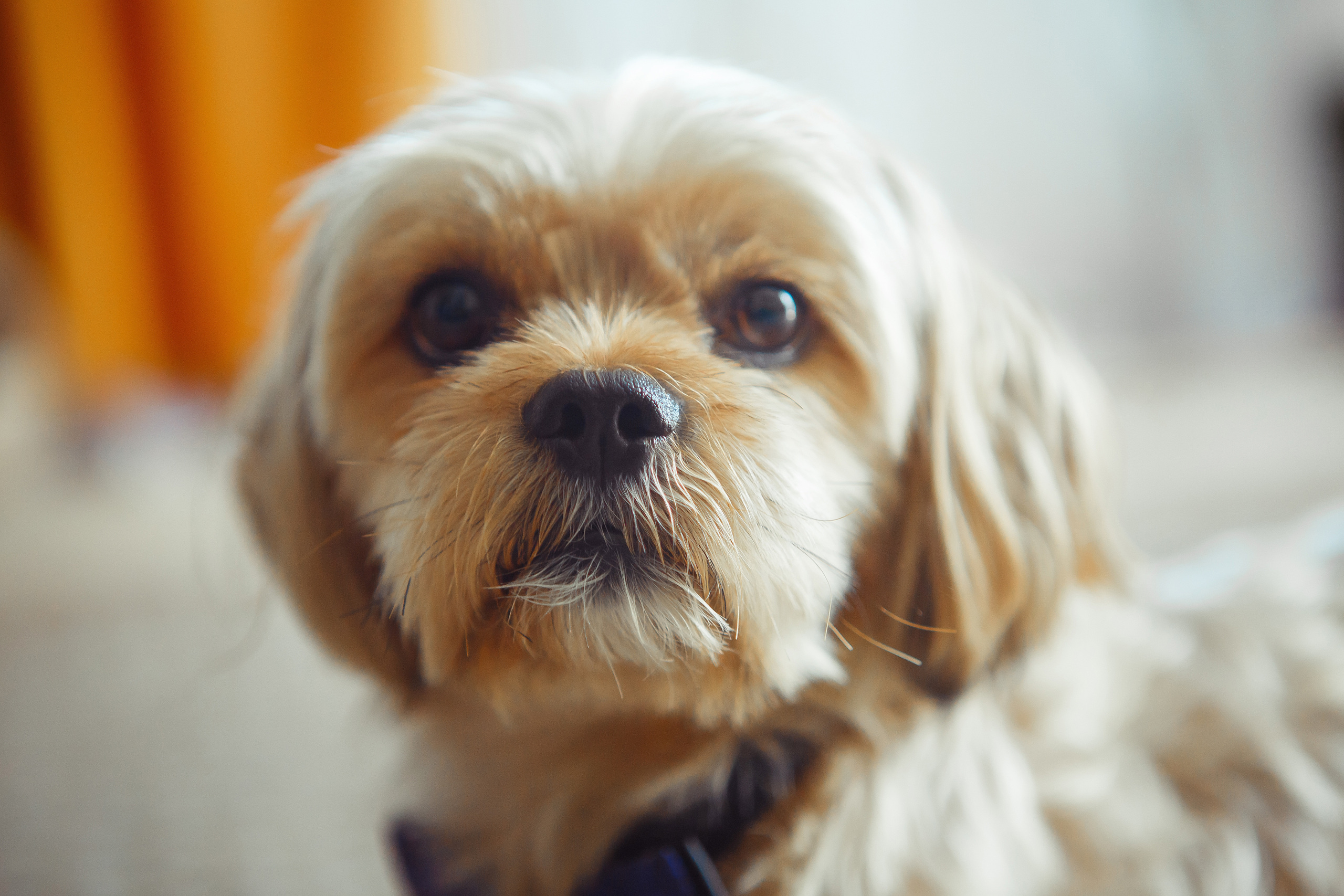 Яхта, парус, в этом мире только мы одни. Свадебный и портретный Фотограф в Липецке Дмитрий Котюков