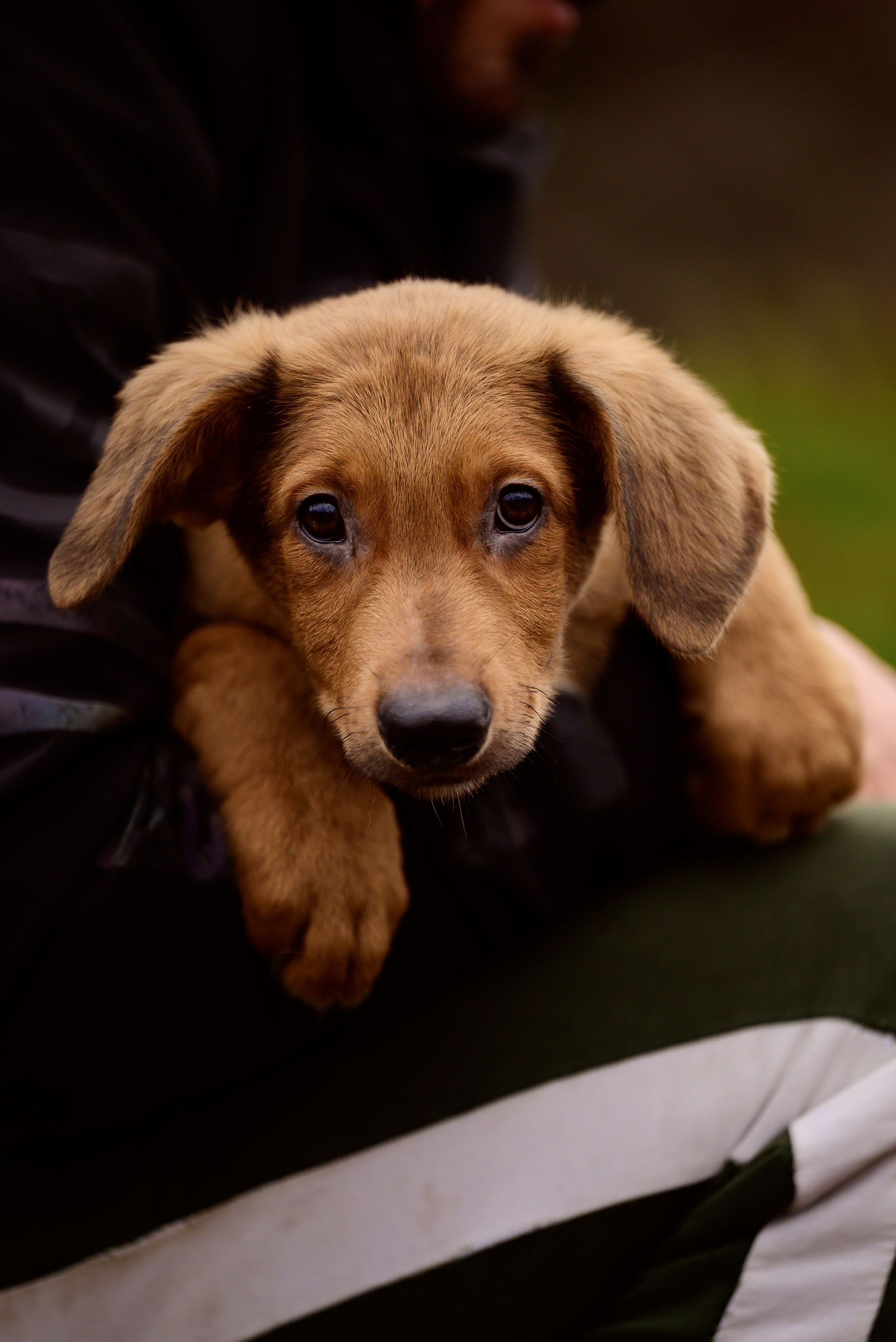 Круассанчики. Мила Астахова