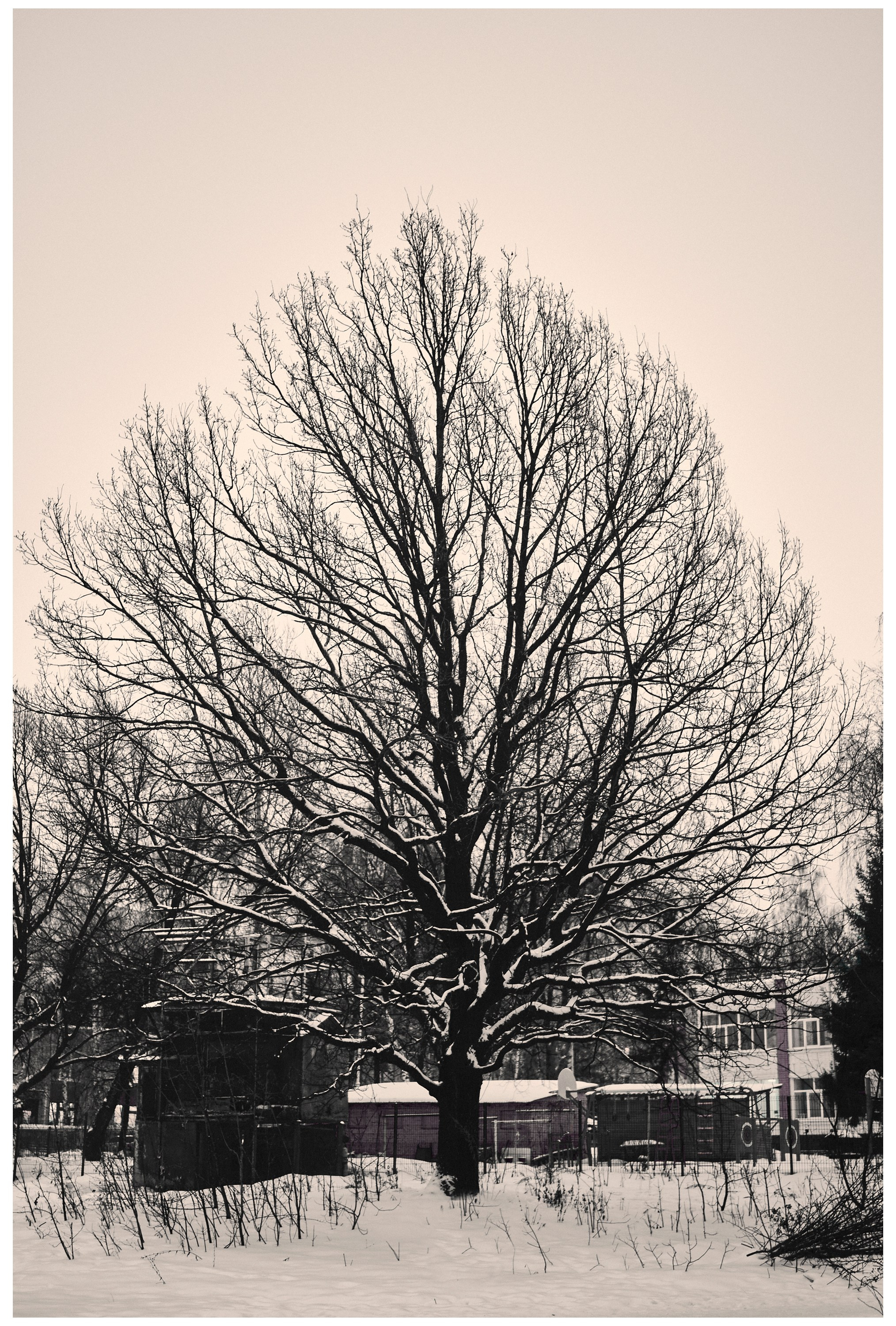 Каркас. Коммерческий фотограф в Казани Ксения Добролюбова