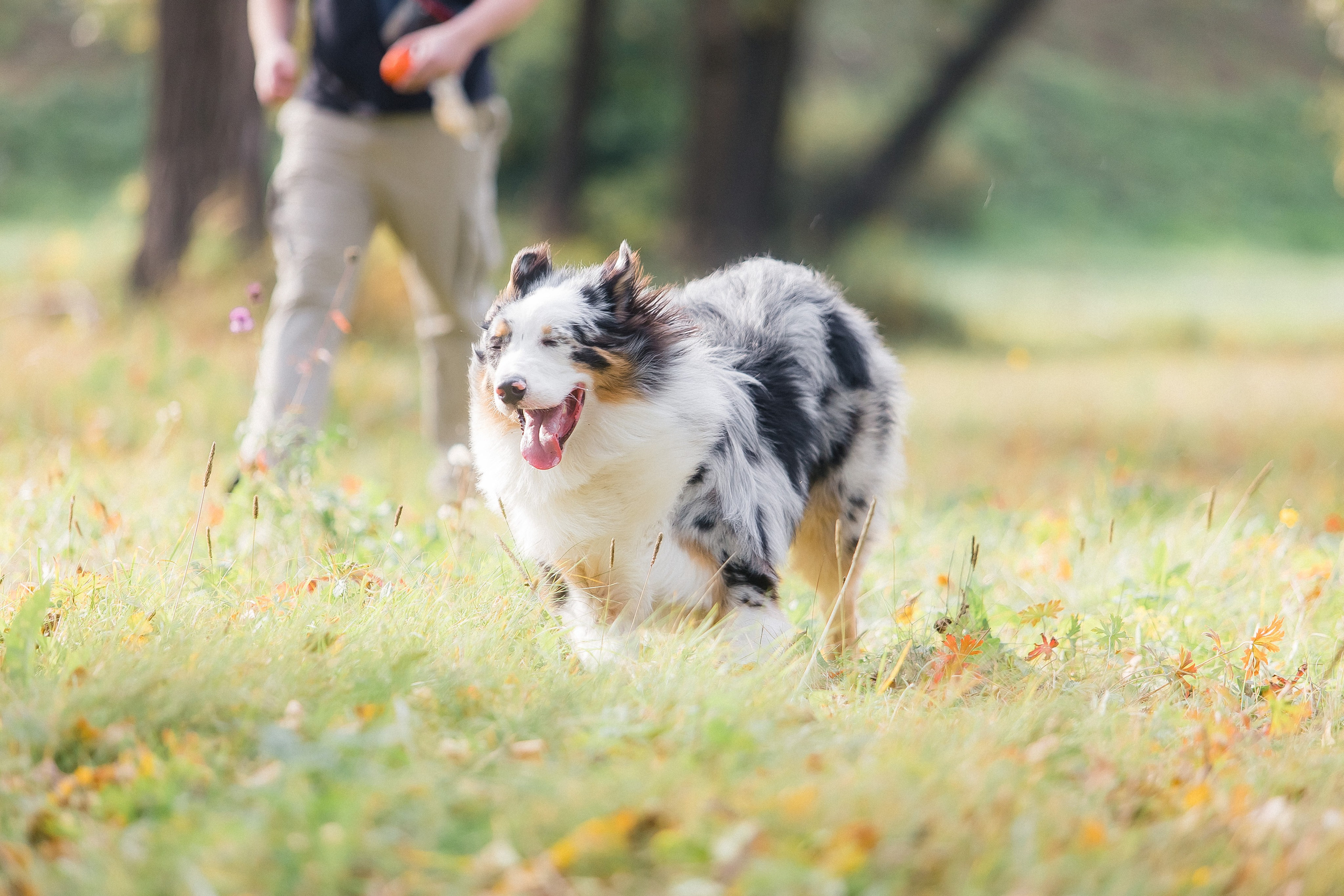 Аусси Дэймон. Свадебный и женский фотограф