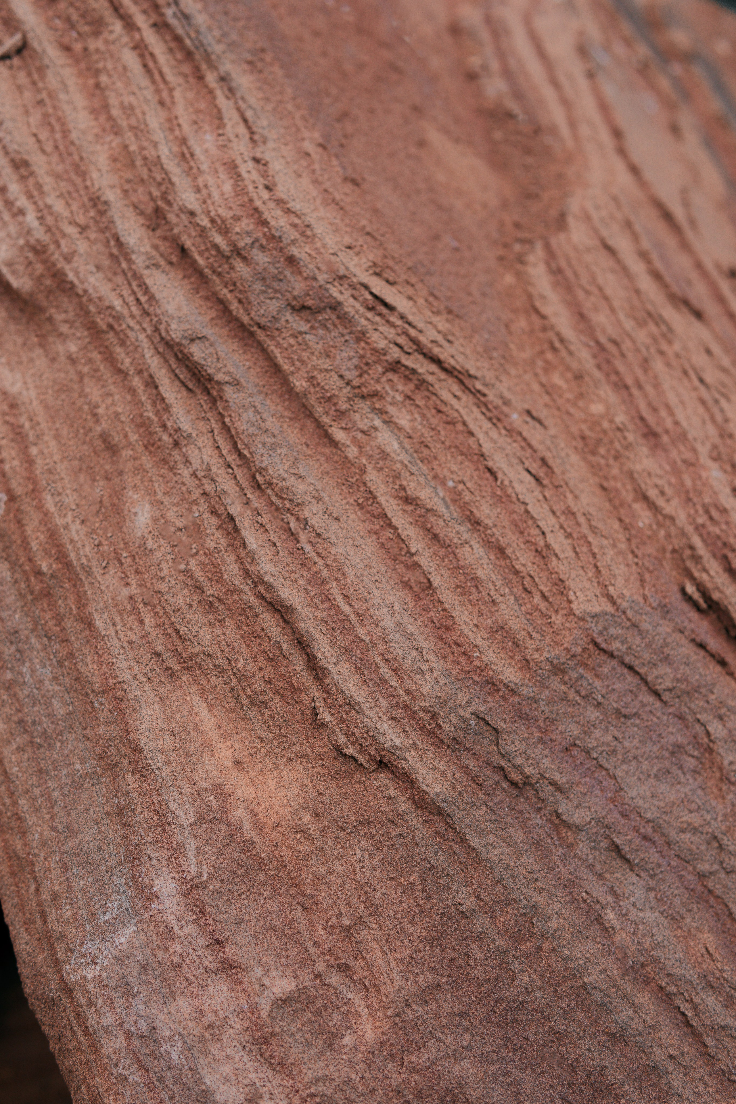 Фотосессия на природе летом. Фотограф и видеомейкер Анастасия Пестерева в Набережных Челнах