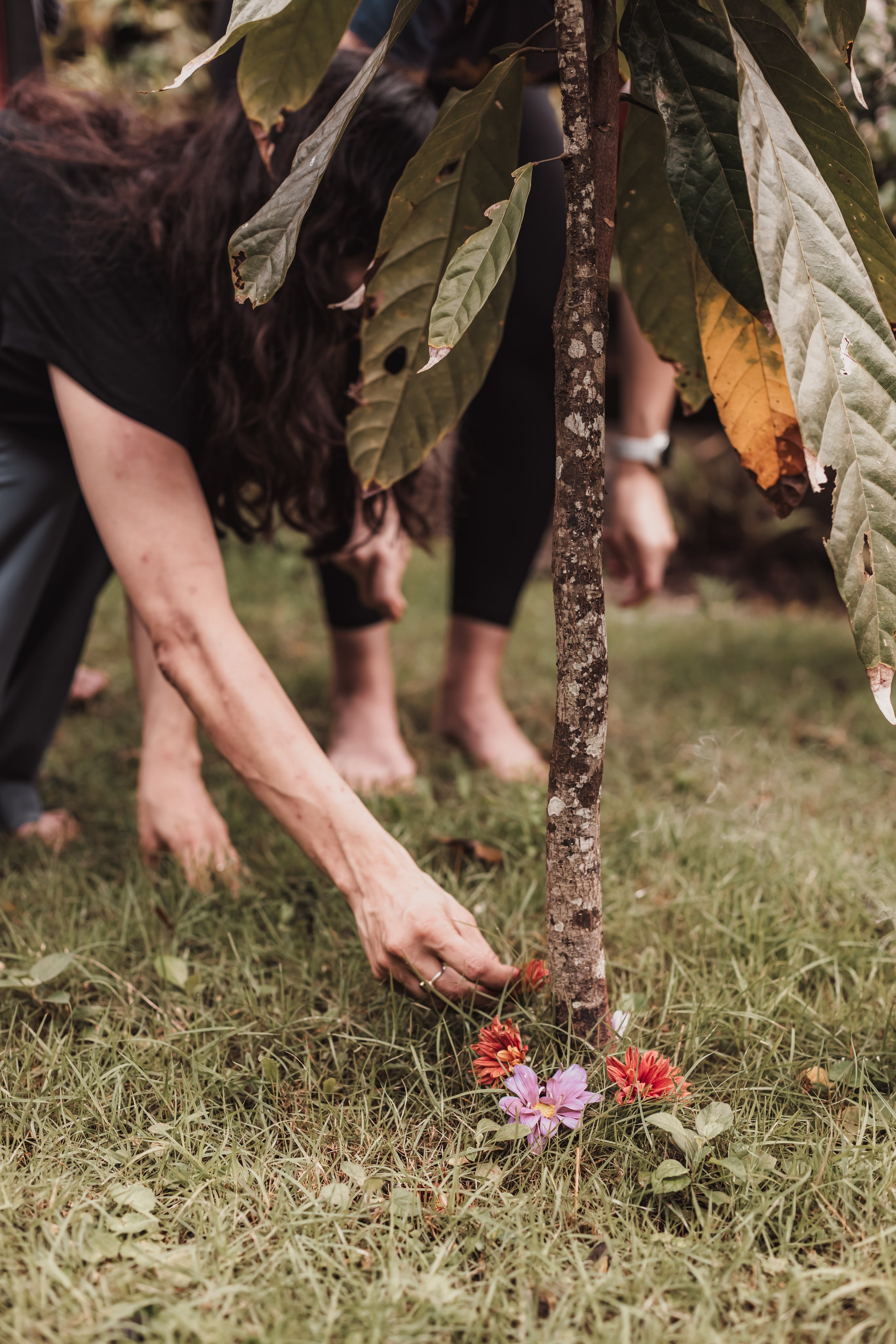 Cacao alchemy w Juan. Мариам Багдасарян