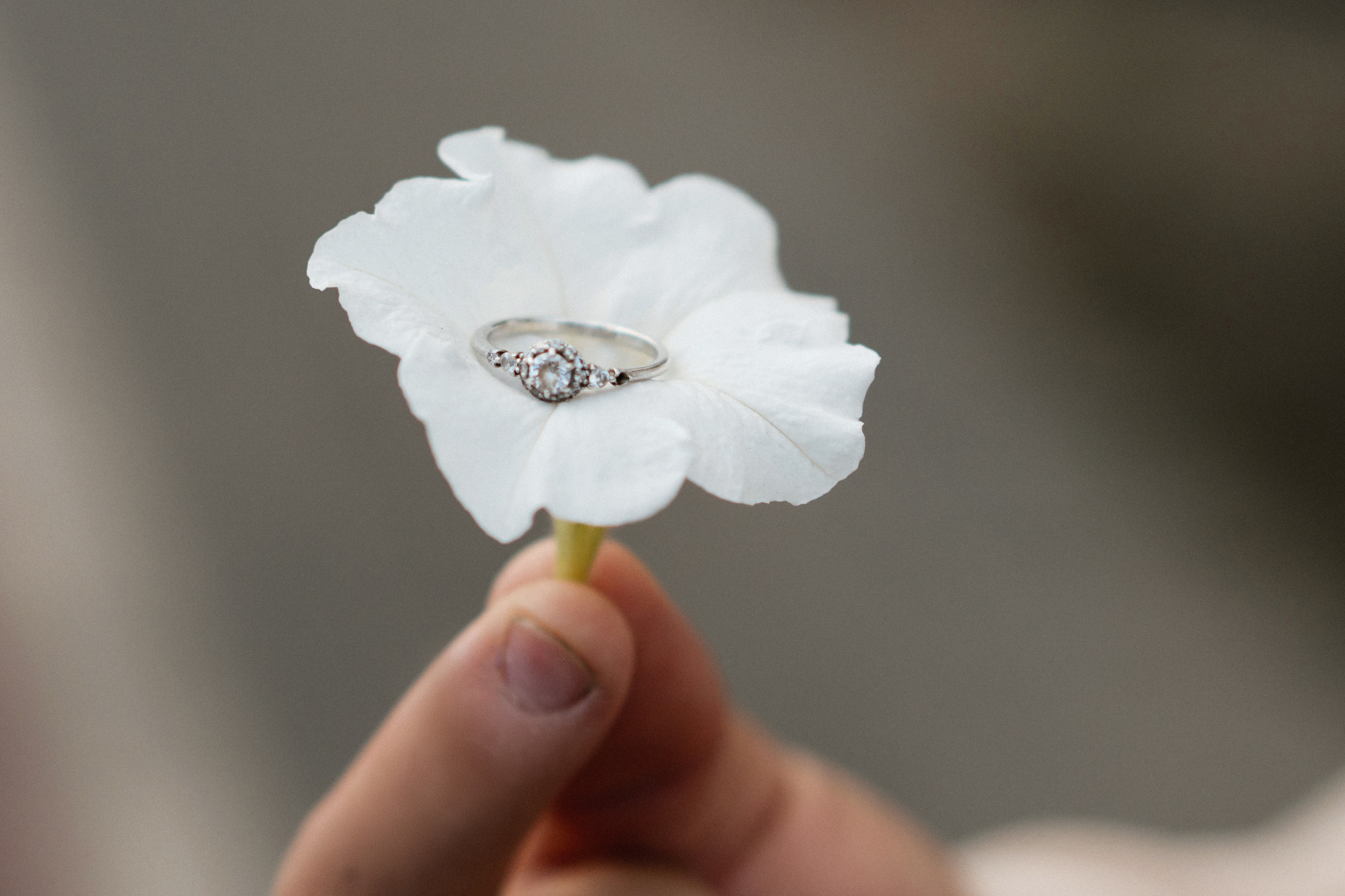 Аня и Паша. Свадебная фото и видеосъемка в Гомеле