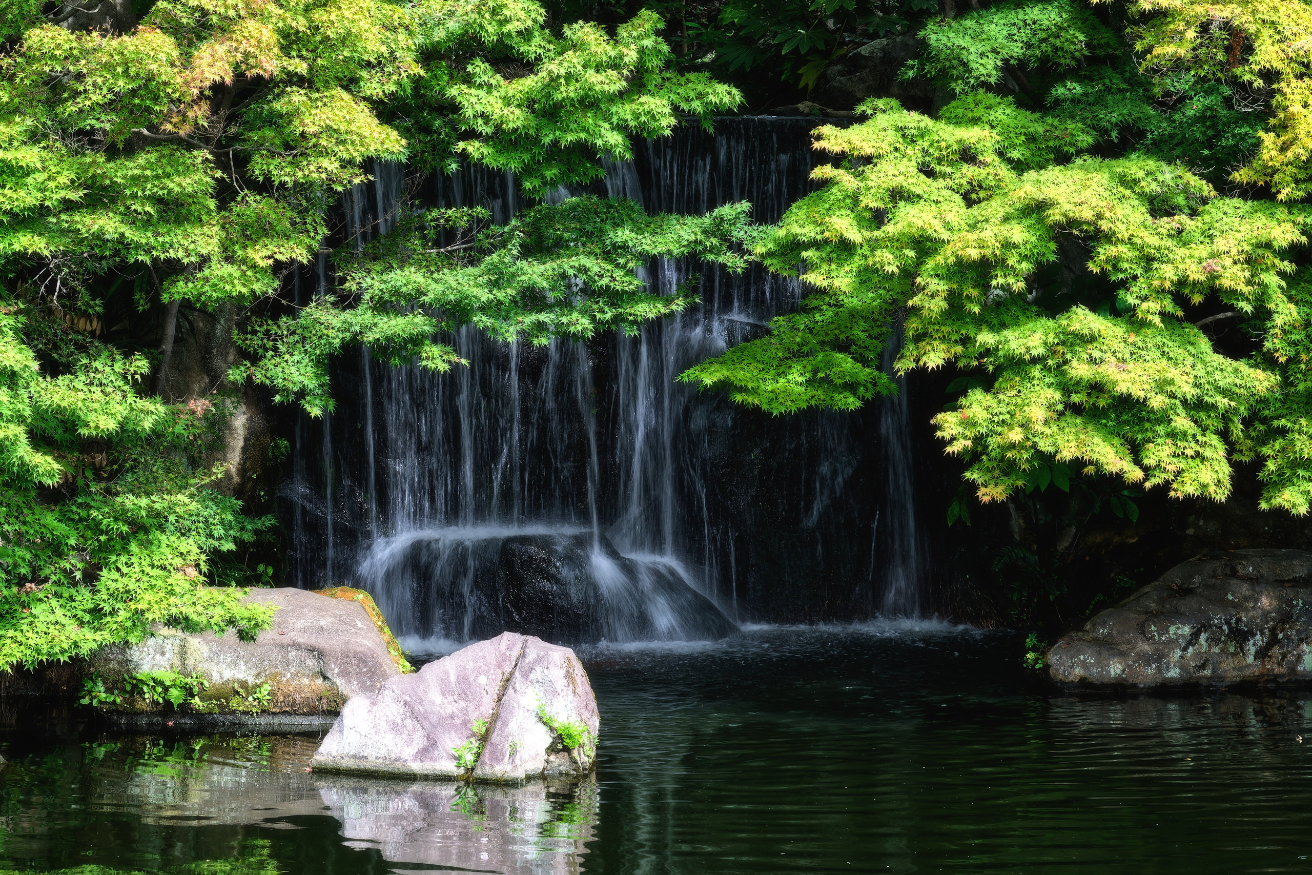 Добрый день! Меня зовут Матвеев Никита и я люблю путешествовать и снимать природу