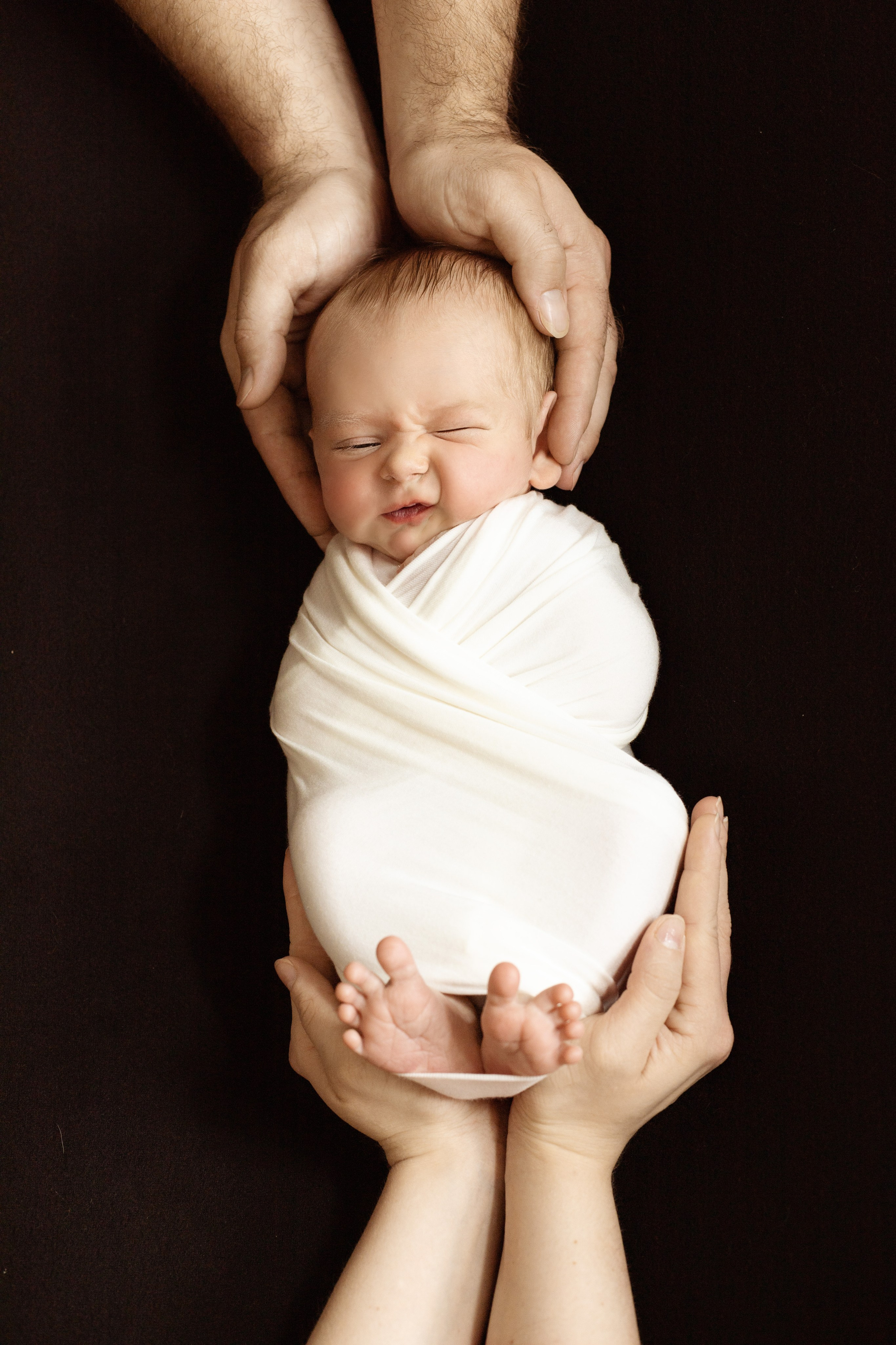 Лев. Ольга SHREIBICUS — Фотография беременности и новорожденных Оренбург