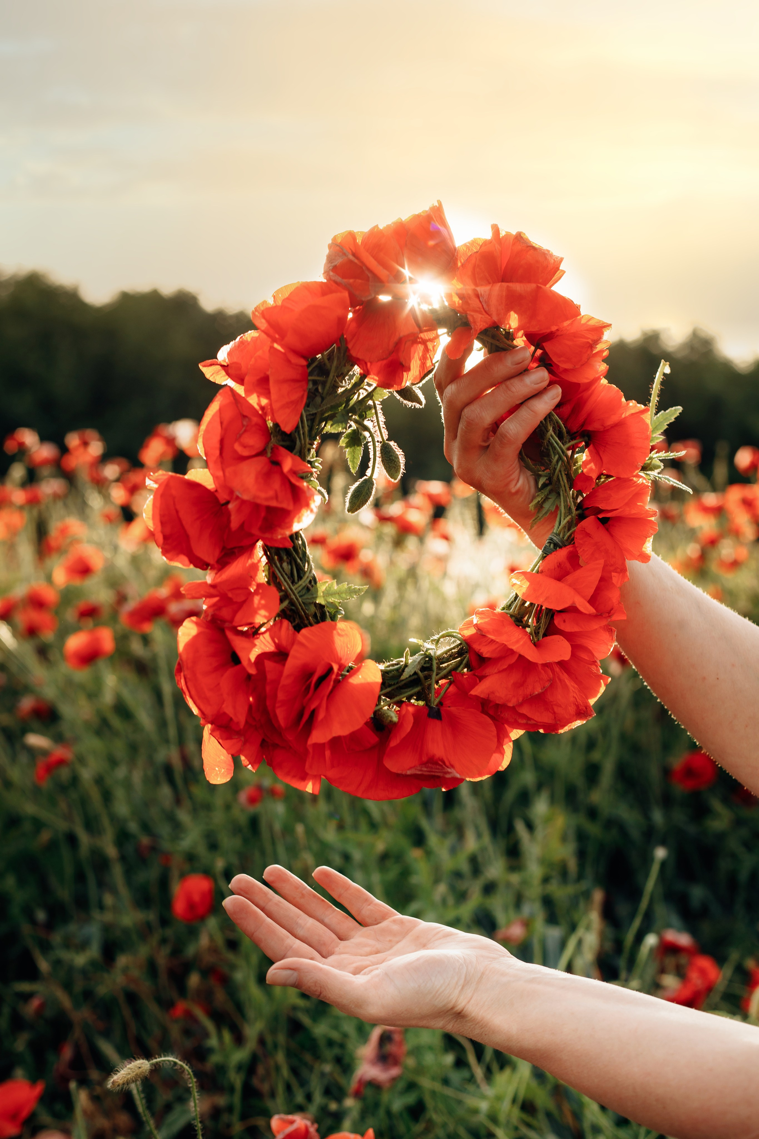 Фотосессия в маковом поле. Свадебный и семейный фотограф в Краснодарском крае Мария Данилкина