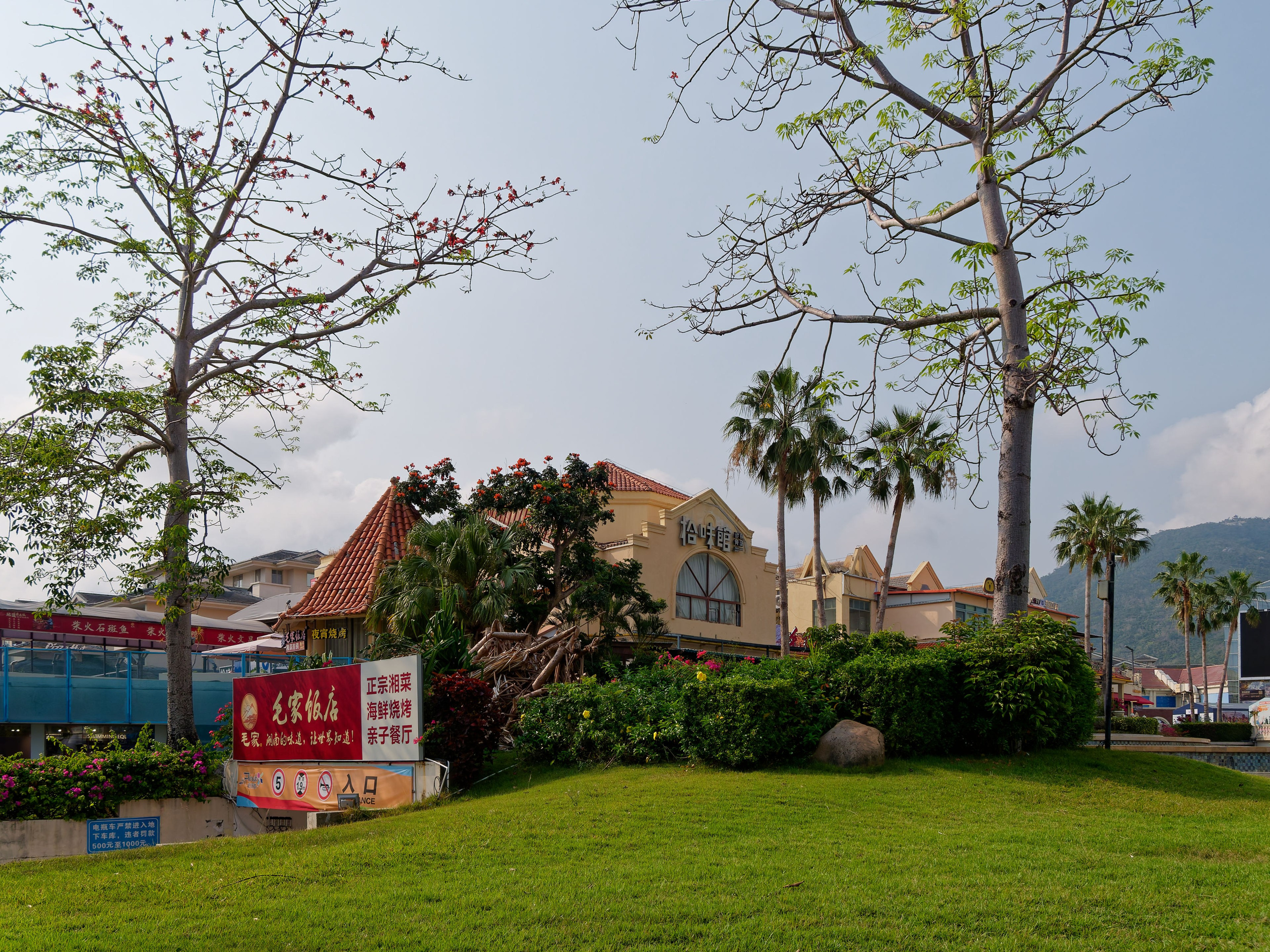 Хайнань 2026, первые впечатления. Фотопрогулки по Миру