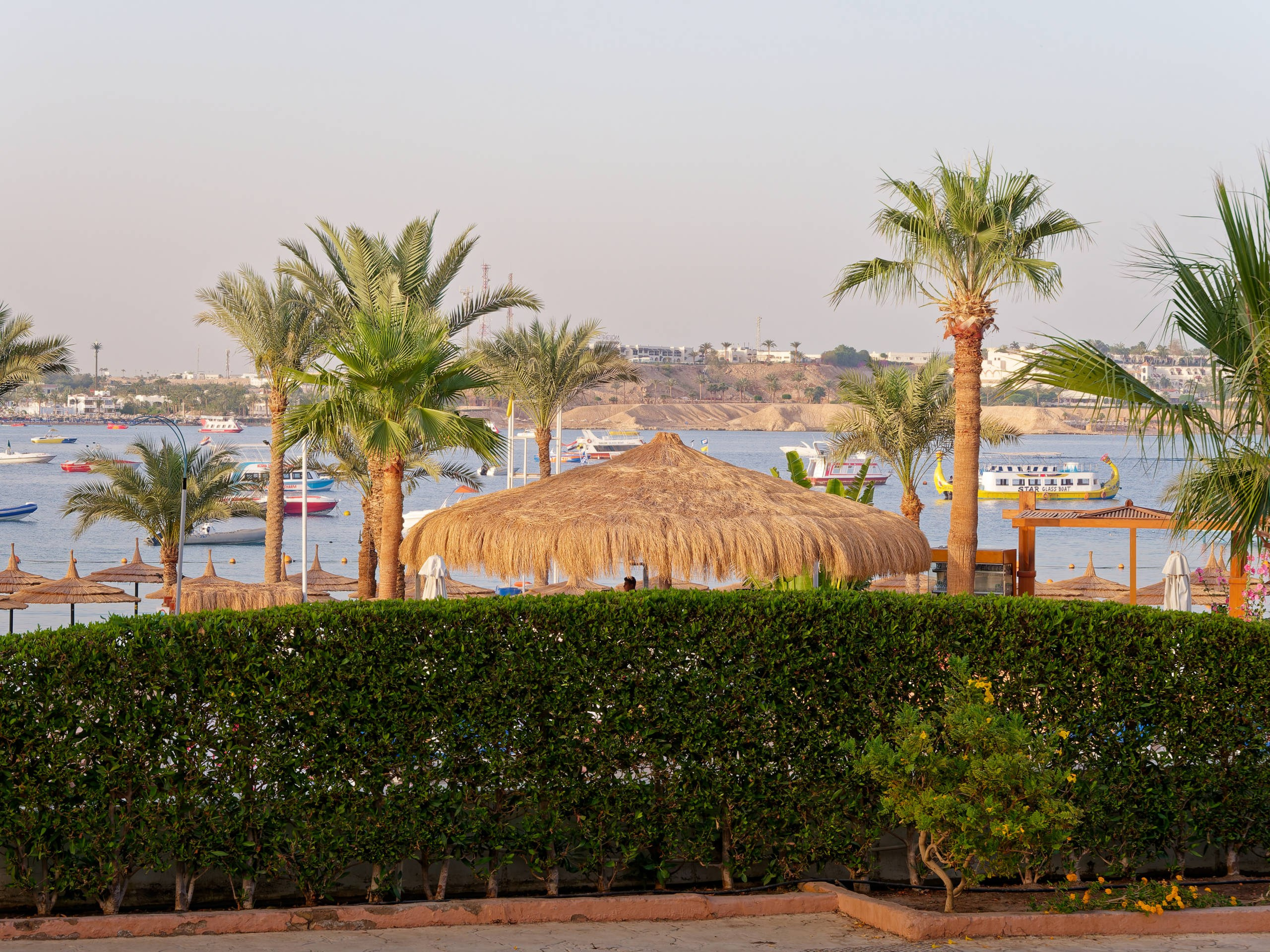 Шарм-эль-Шейх 2022 (2). Избранные фотографии