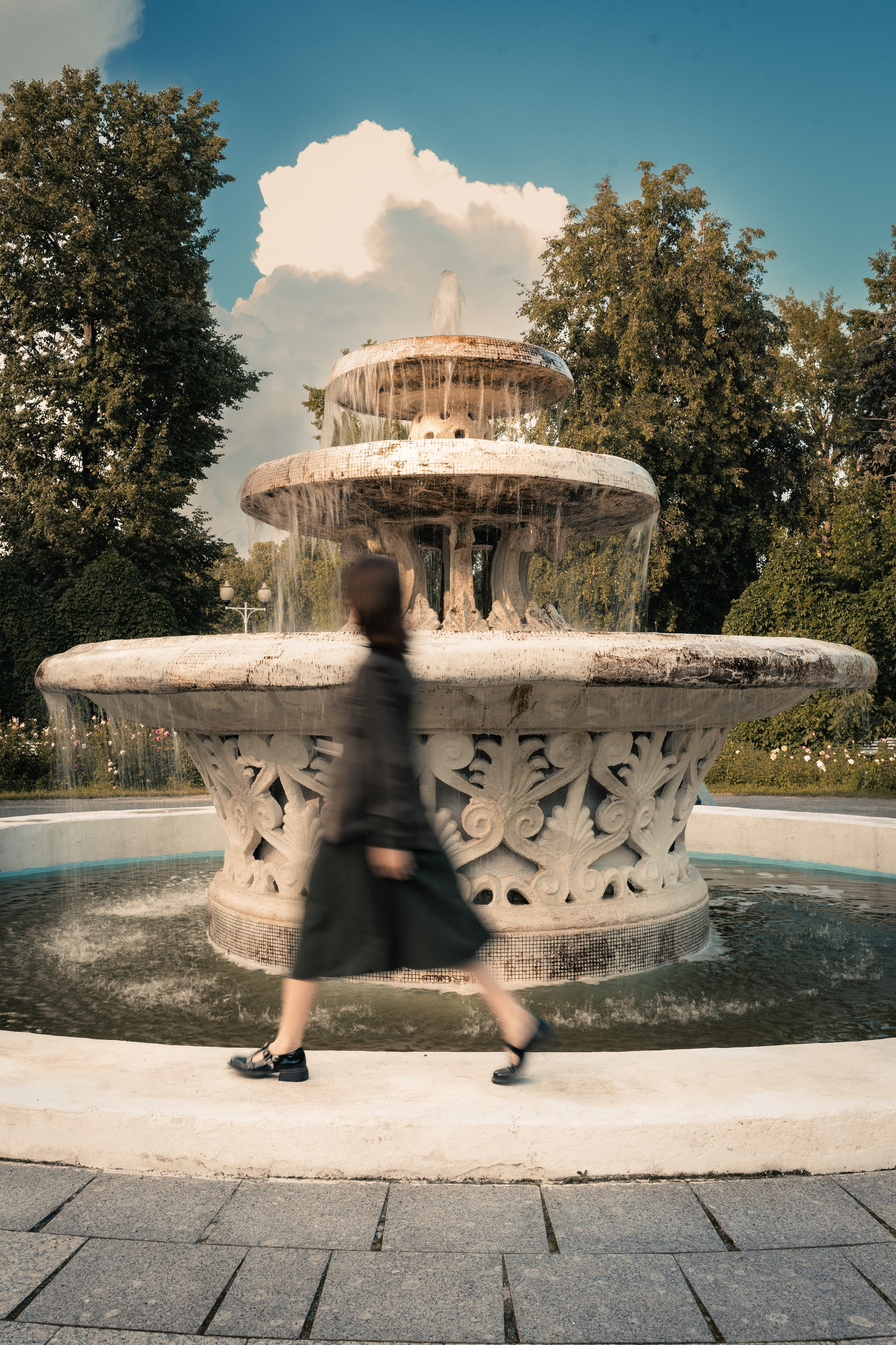 Роза парка. Фотограф в Москве Лера Голубенко