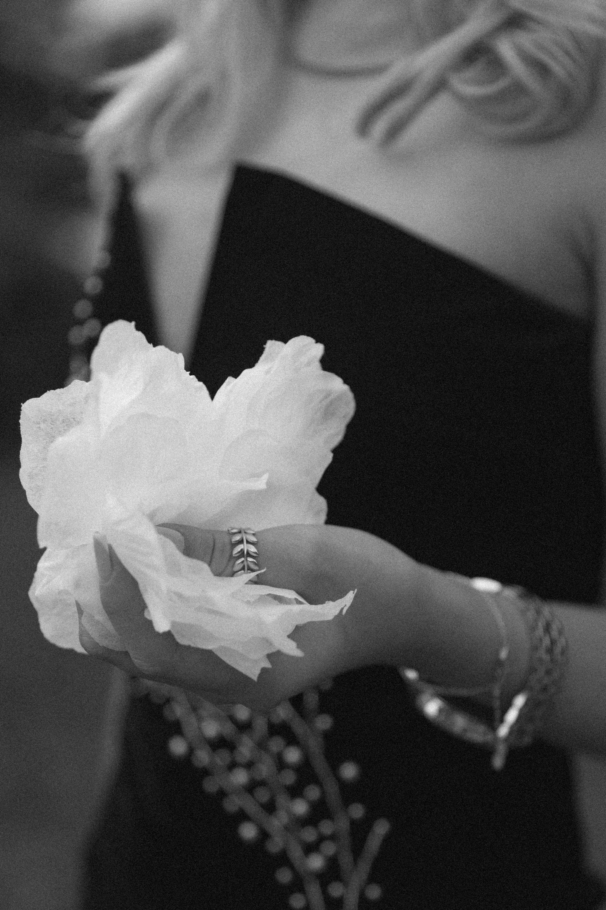 Арина и Александр, 11/10/ 2024. Свадебный  и семейный фотограф в Краснодаре