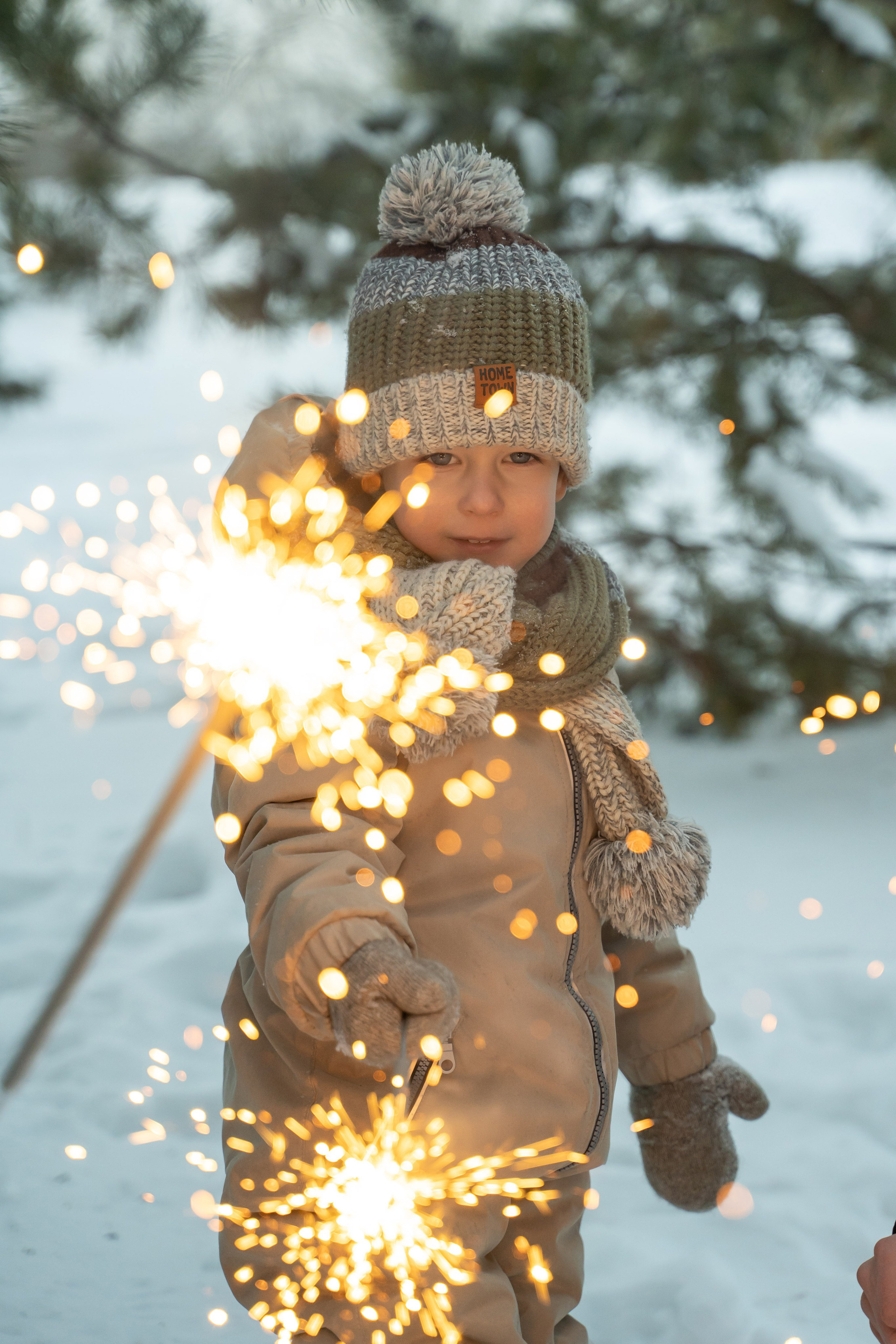 Зимняя прогулка. Главная