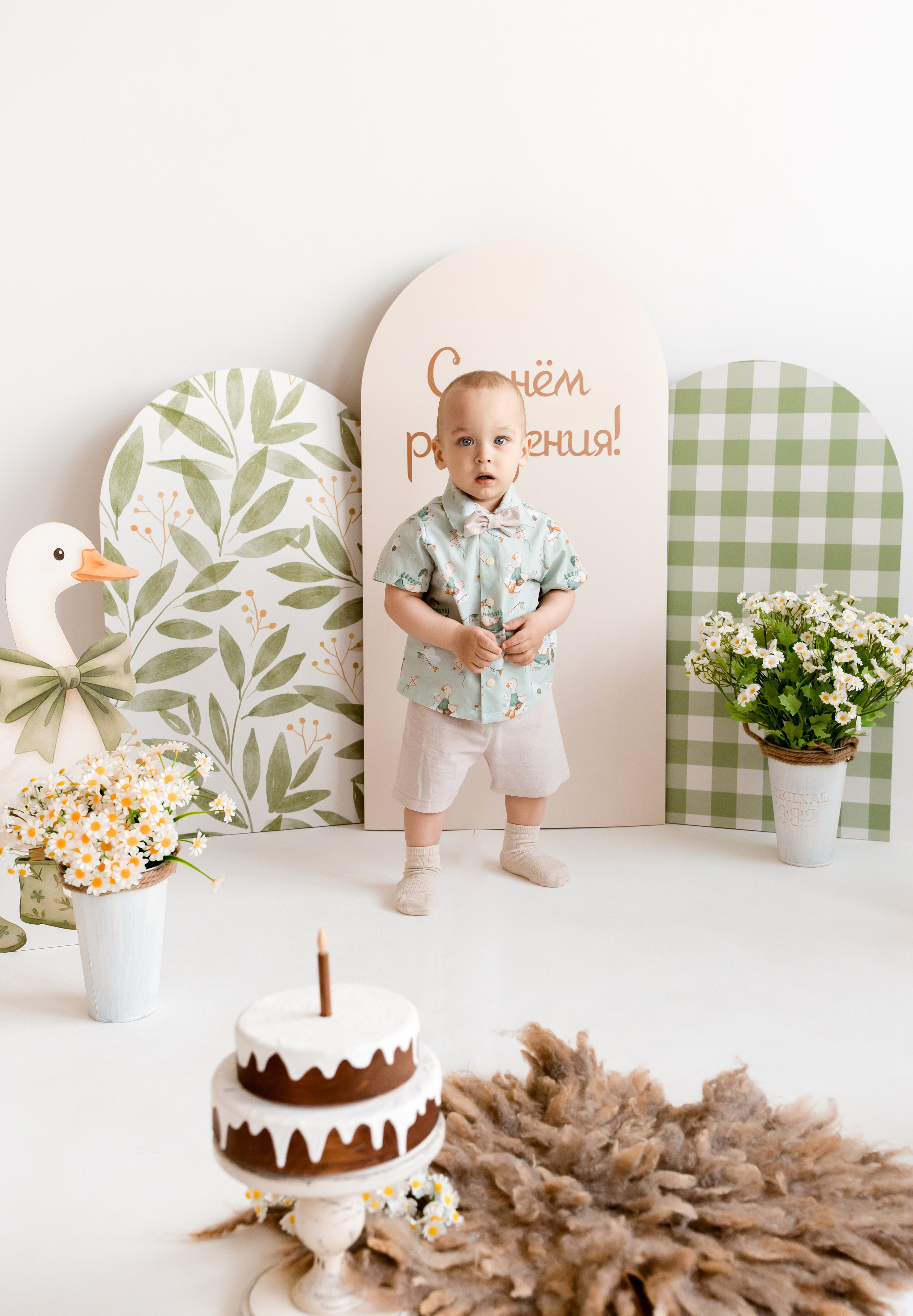 Гуси. Детский и семейный фотограф, Newborn фотограф новорожденных г. Челябинск