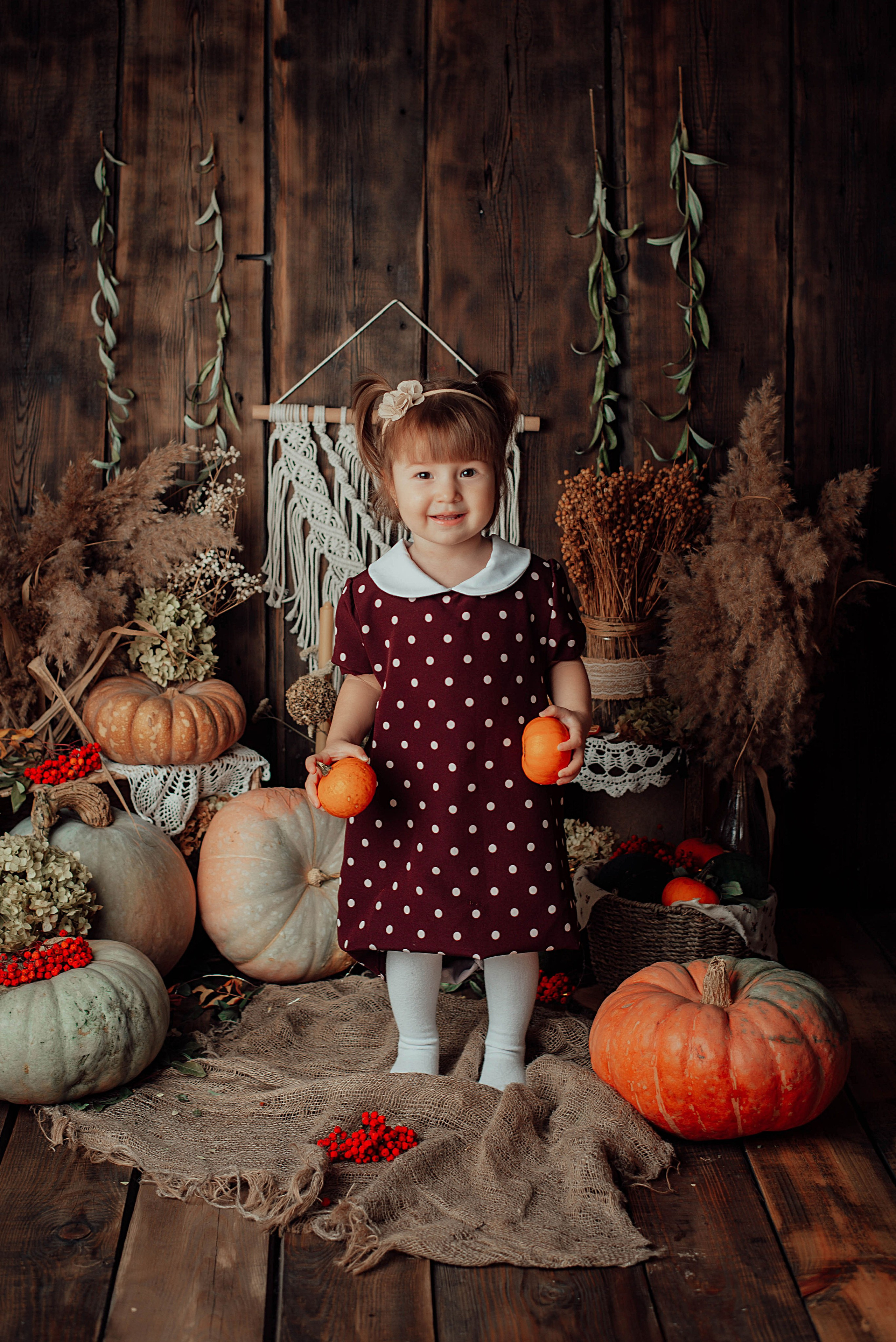 Тыквенный фотопроект. Семейный и детский фотограф новорожденных Ульяновск