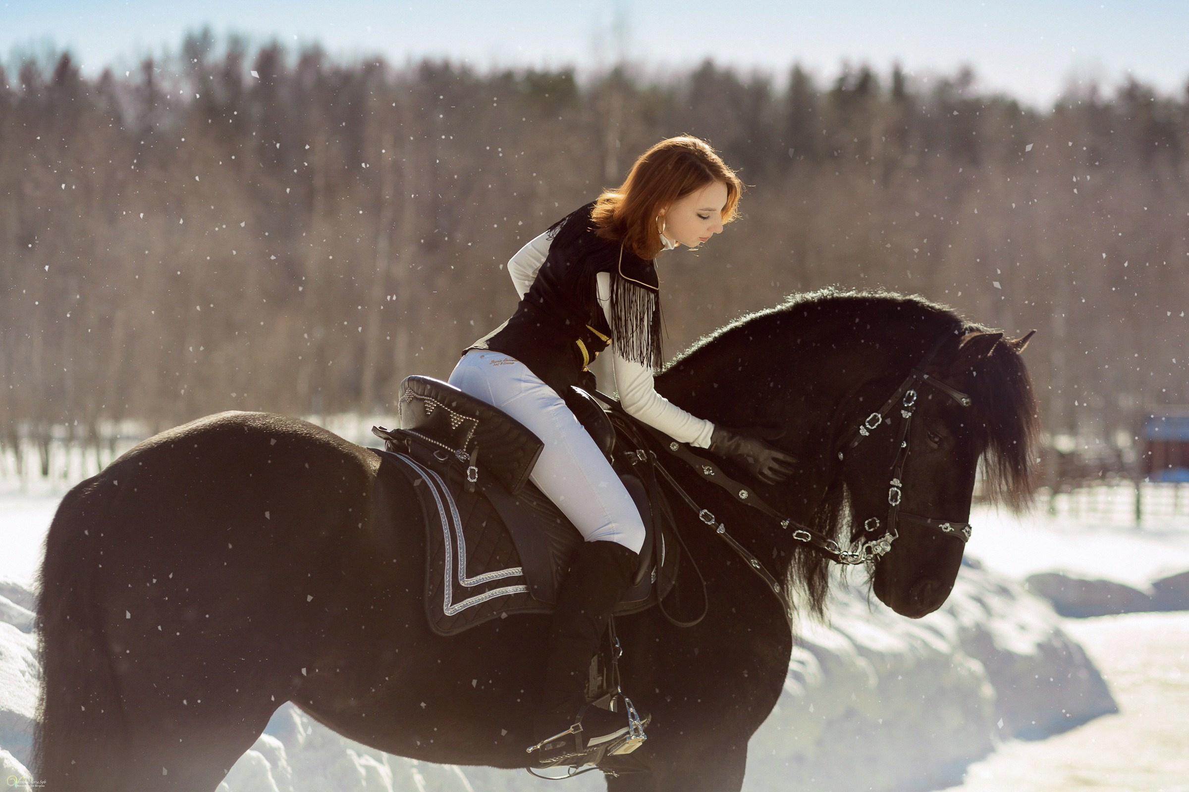 Фотосессии с лошадьми зимой. Фотограф женский и мужской портрет Санкт-Петербург