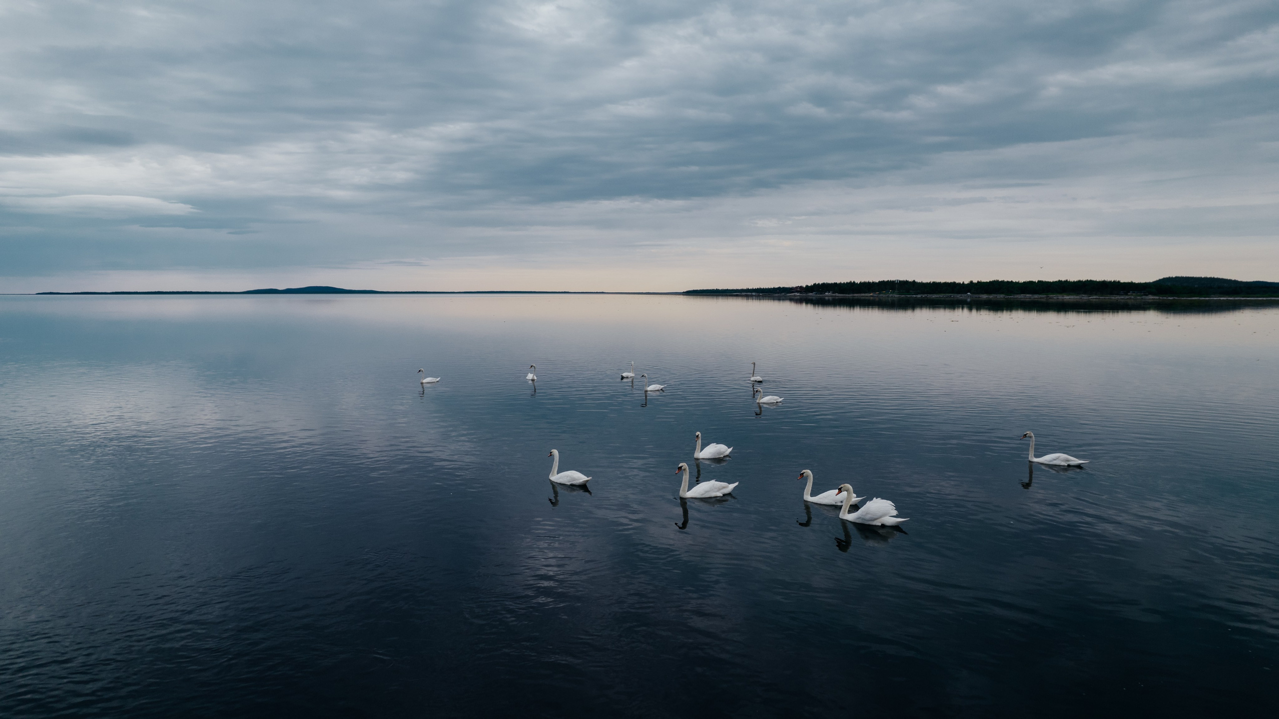 ЭТНОПАРК ГЕОГРАФИКА. Создание контента | Фото | Видеосъемка | Александр Ярков