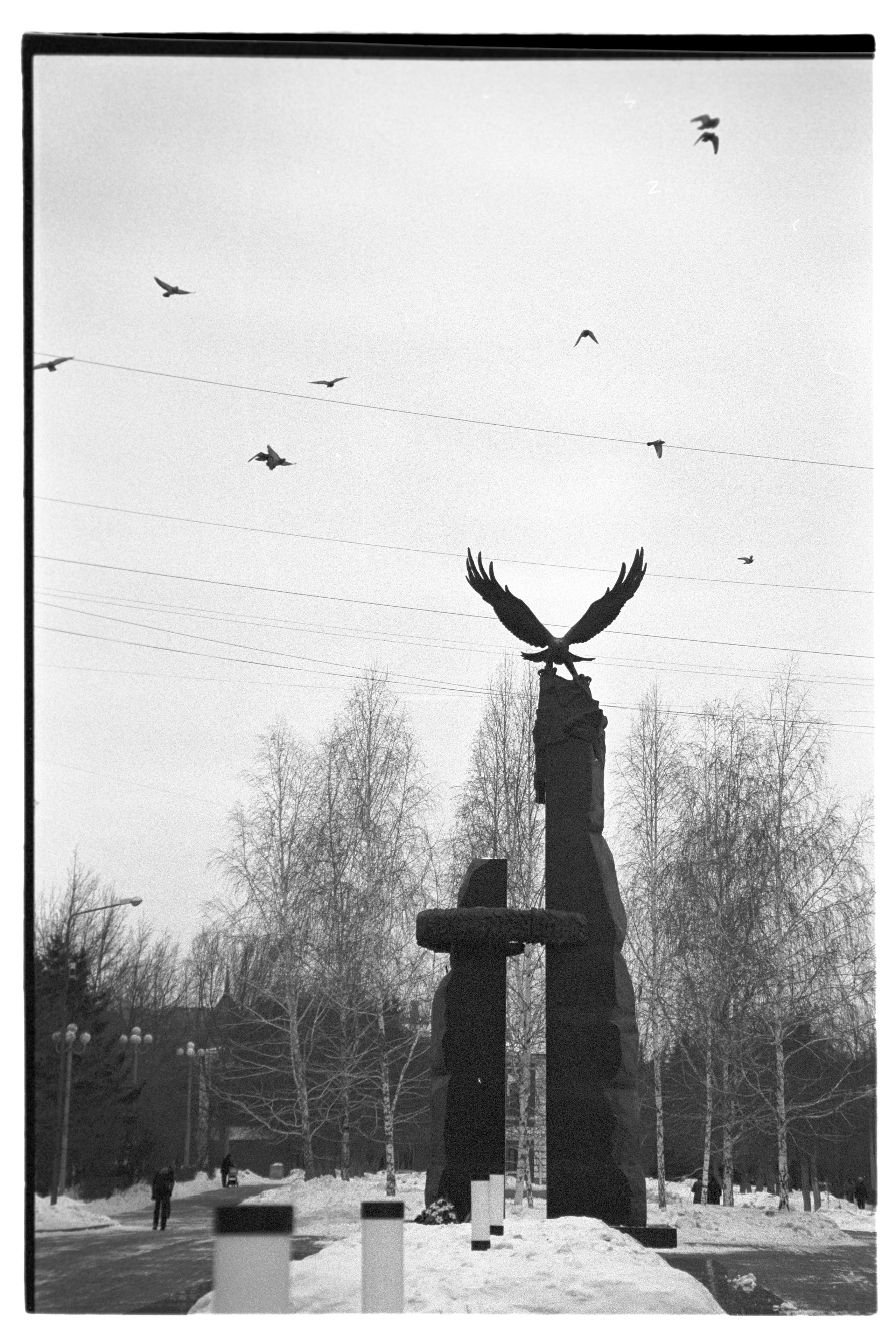 Белый. Фотограф в Санкт-Петербурге Березовский Даниил