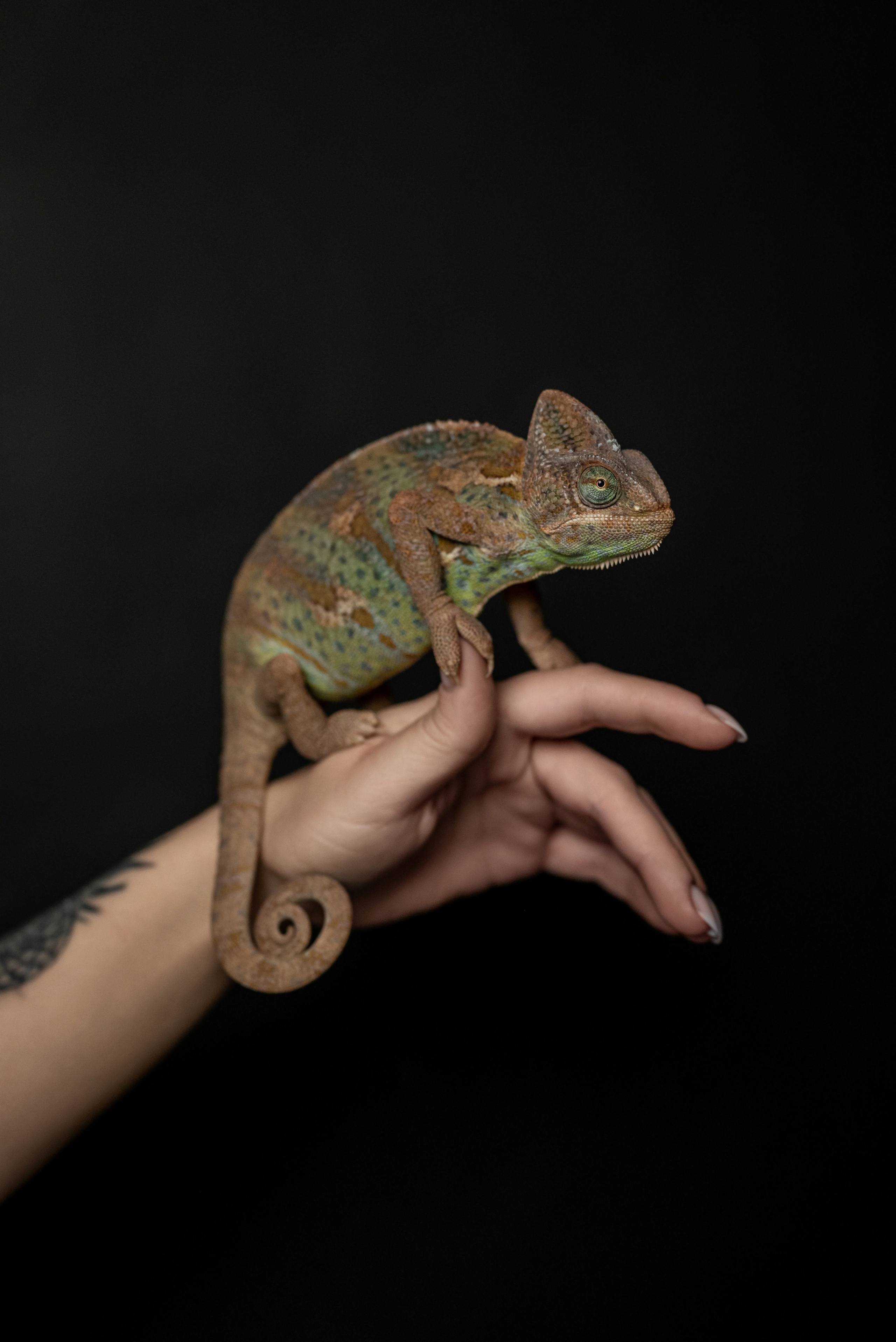 Кристина. Фотограф в городе Салават