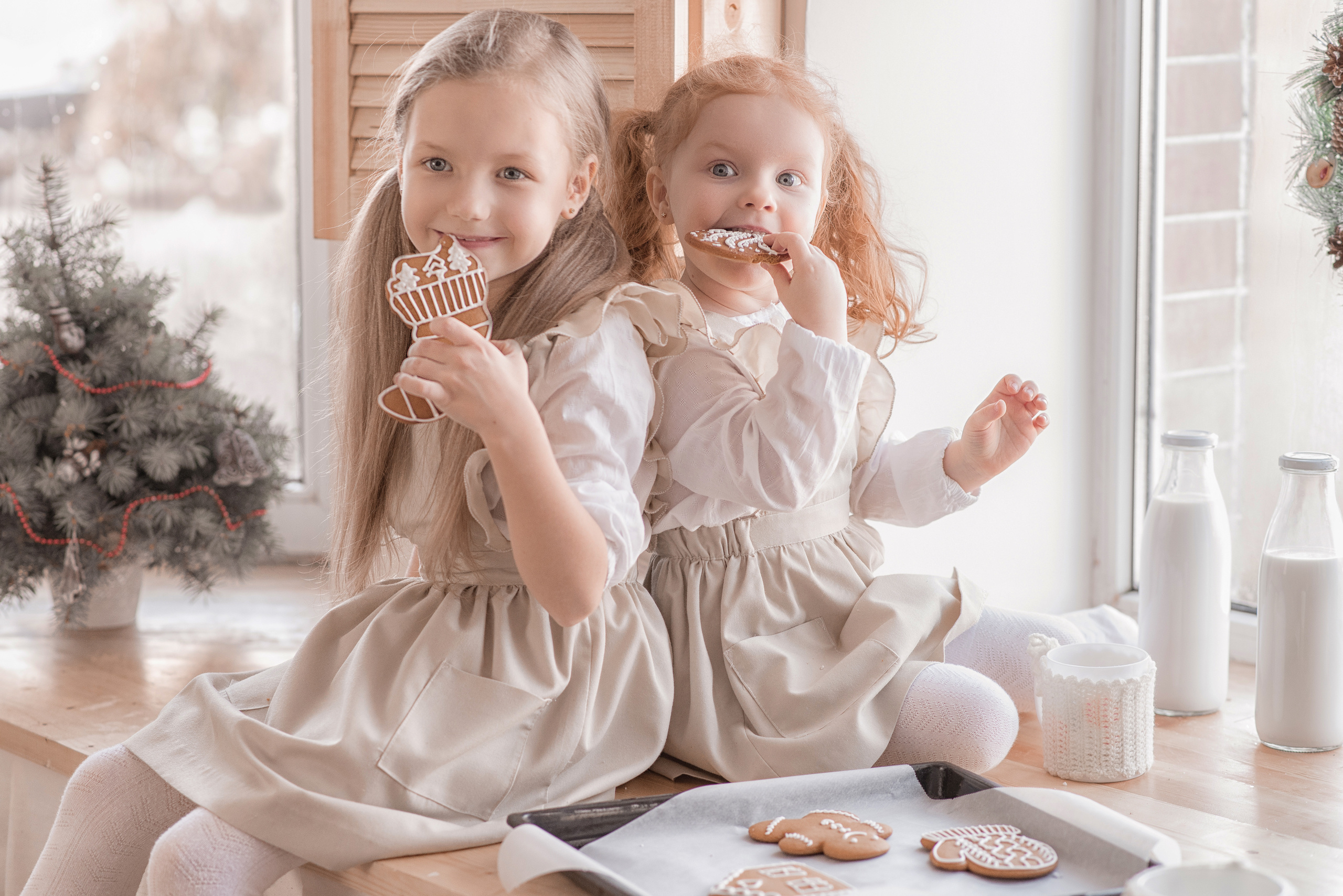 Новогоднее печенье. Фотограф в Алматы Новгородская Мария