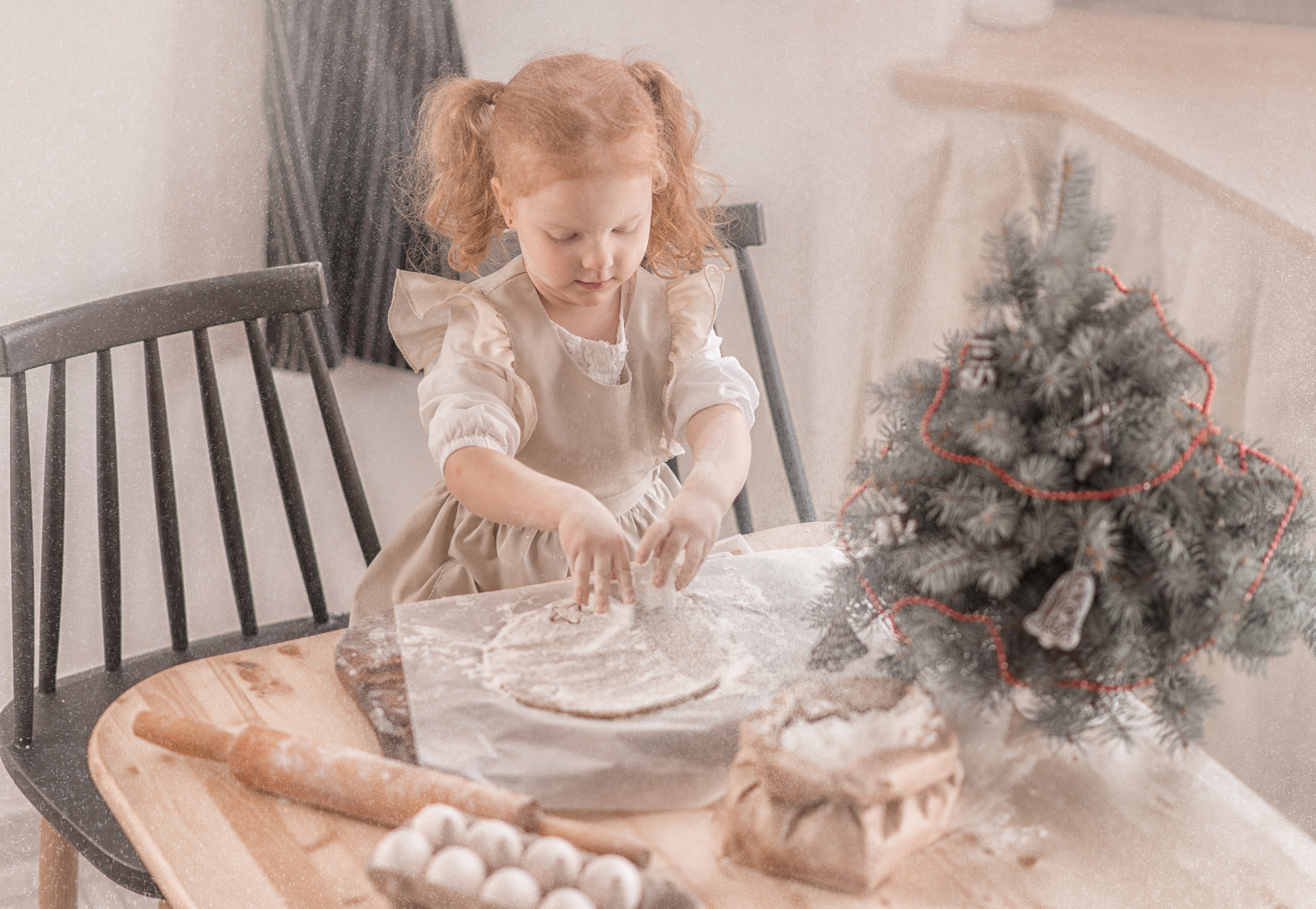 Новогоднее печенье. Фотограф в Алматы Новгородская Мария