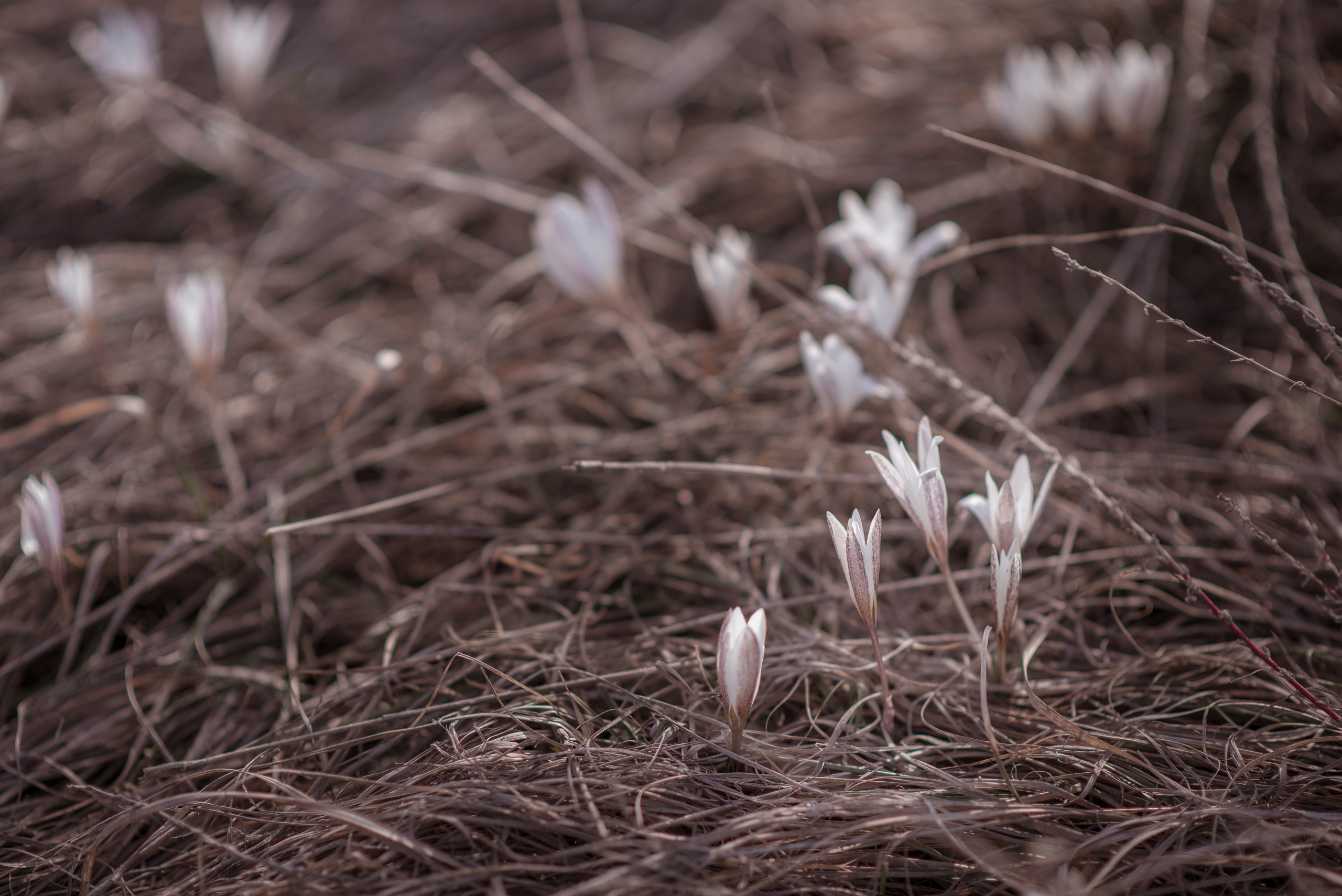 Фотограф в Алматы Новгородская Мария