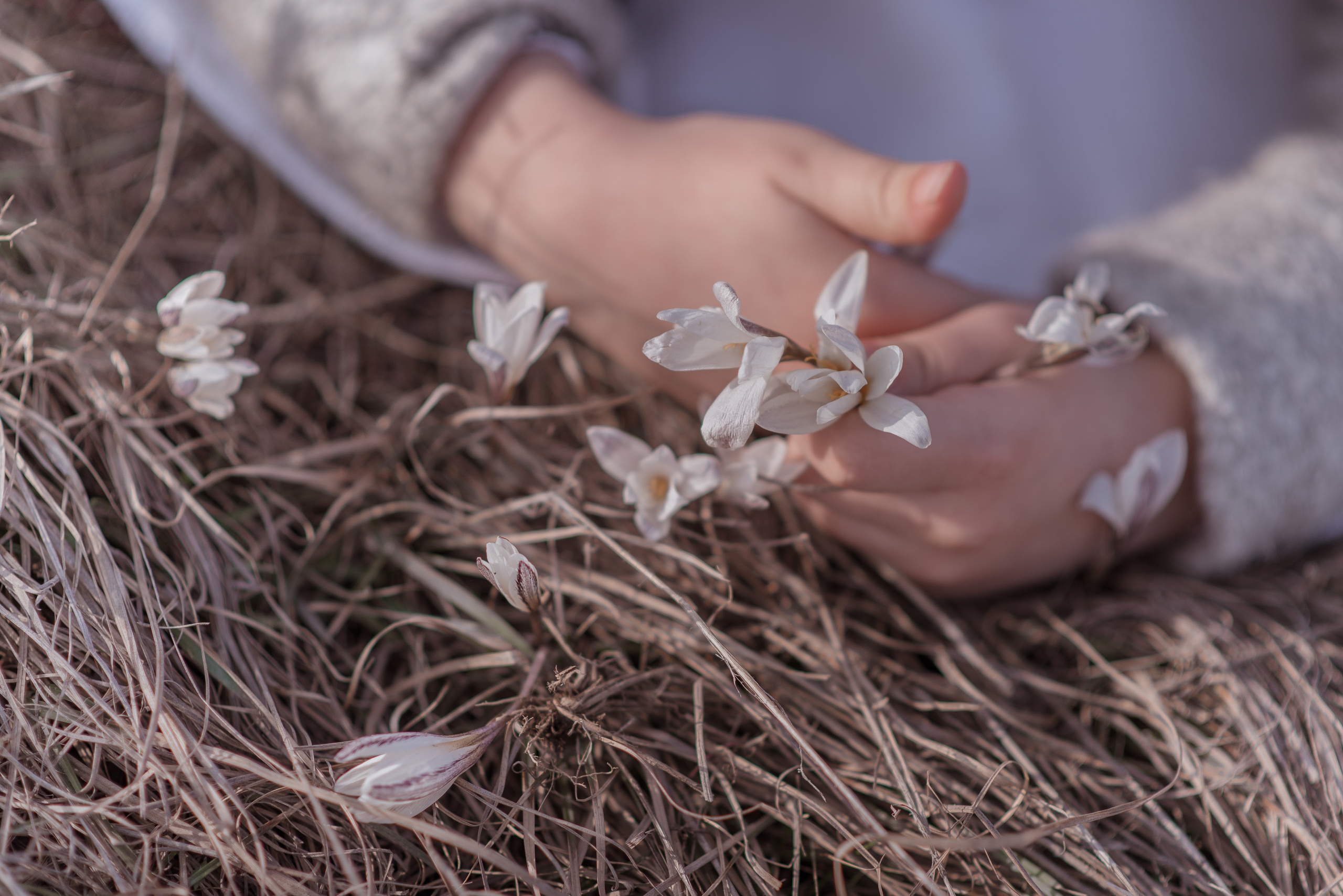 Фотограф в Алматы Новгородская Мария