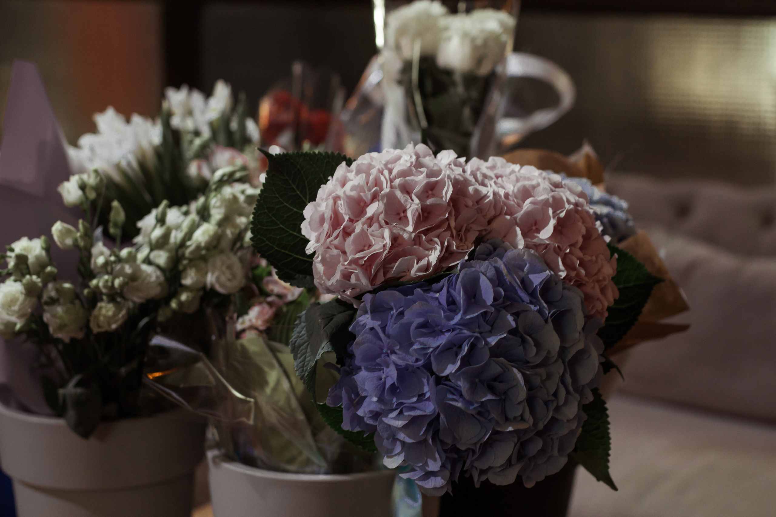 Свадебный банкет в ресторане ферма Бенуа. Свадебный, семейный и контент фотограф в Санкт- Петербурге Елена Грие