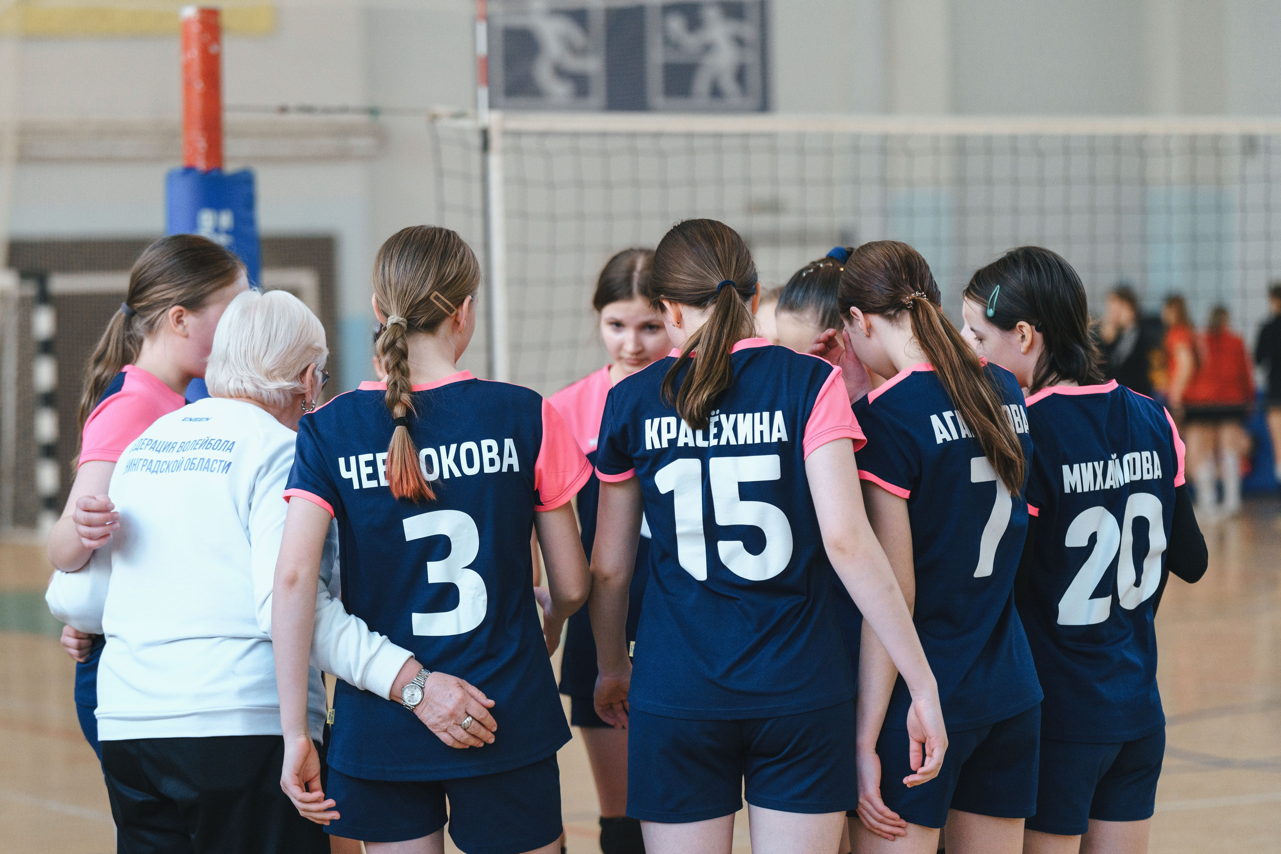 Волейбол торус. Фотограф-анималист в Санкт-Петербурге