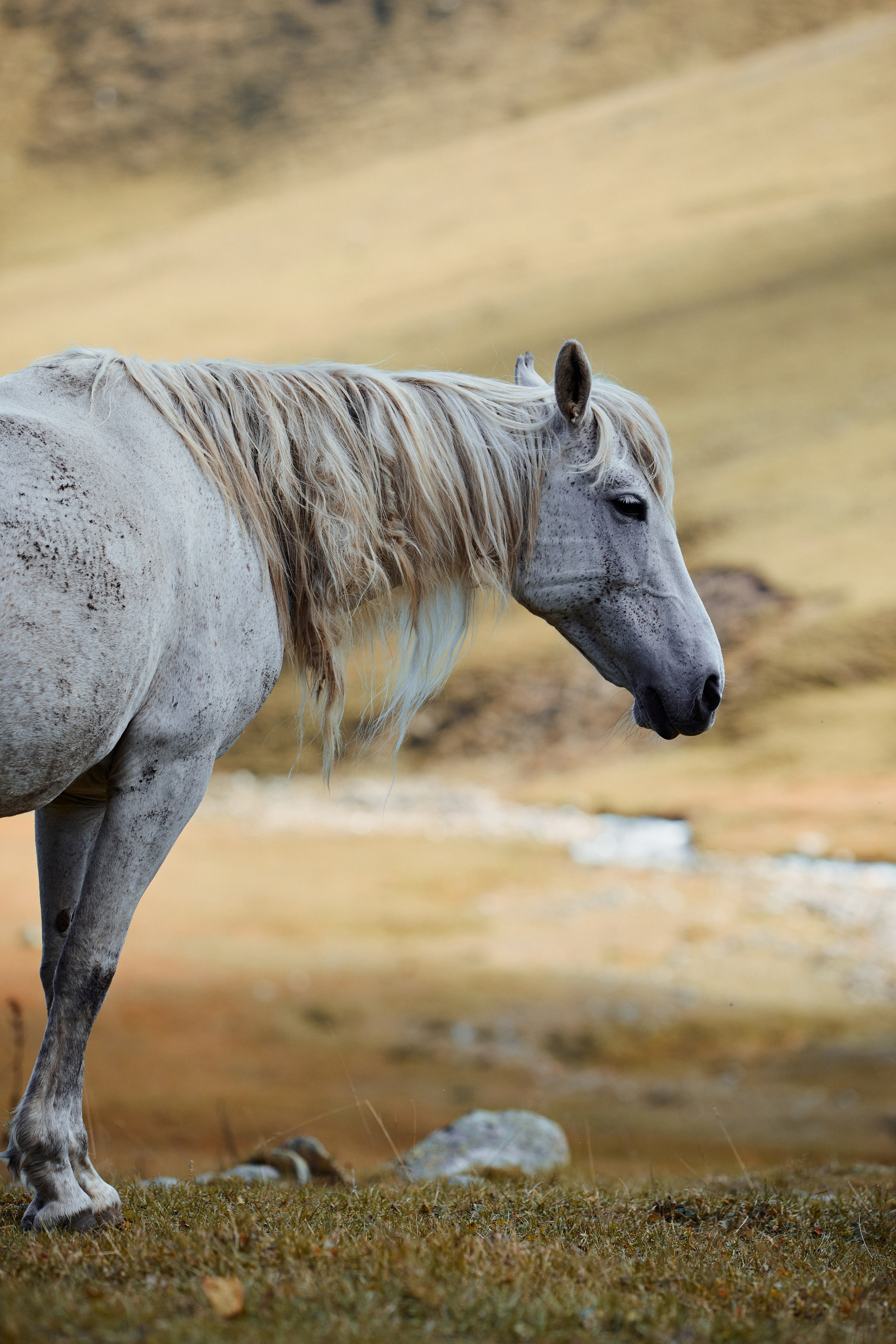 Озеро Гийбашкель. Фотограф Продюсер в горах КБР / Москва  Нальчик Горы