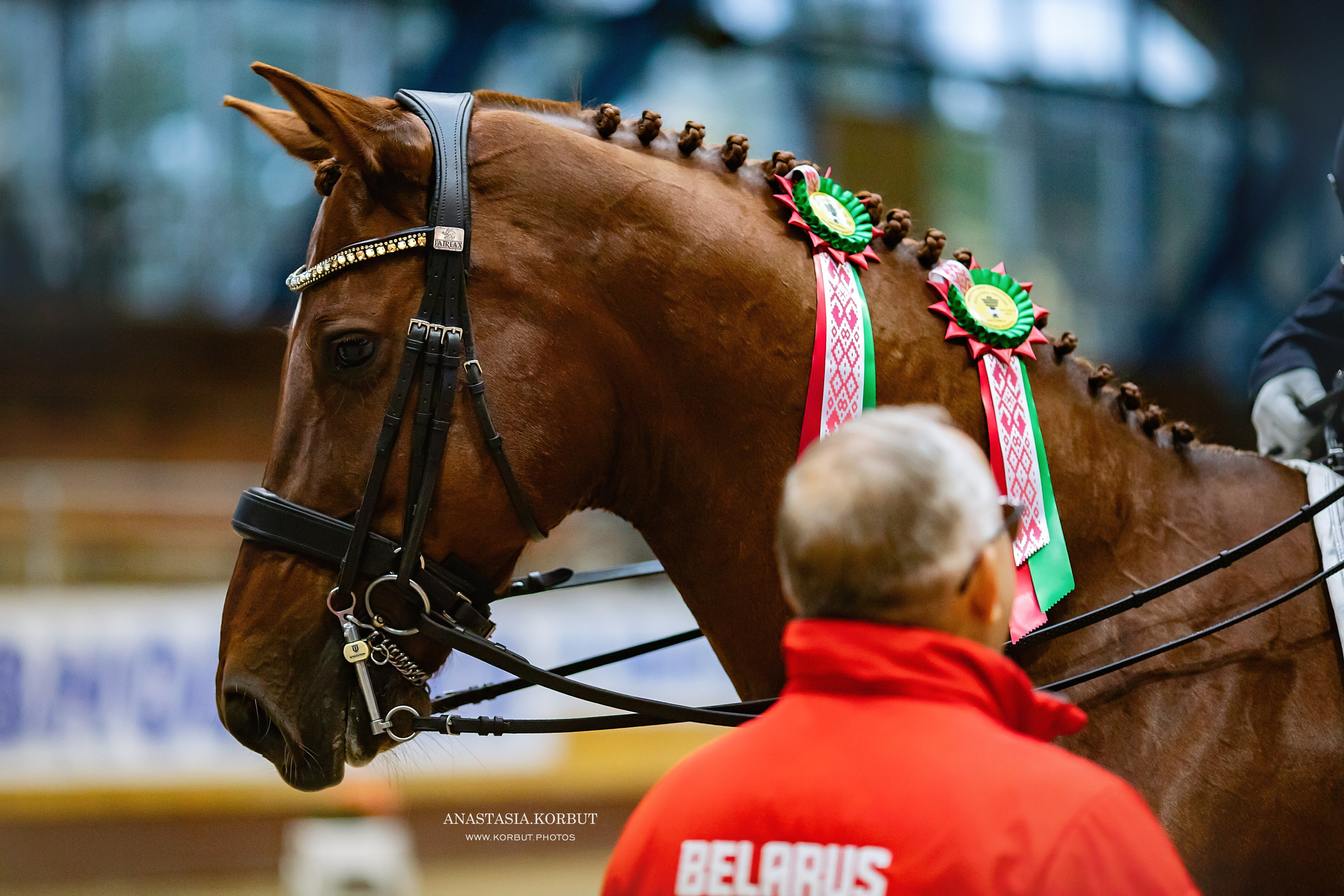 Звезды Евразии MAXIMA MASTERS. Арт фотограф в Минске Анастасия Корбут