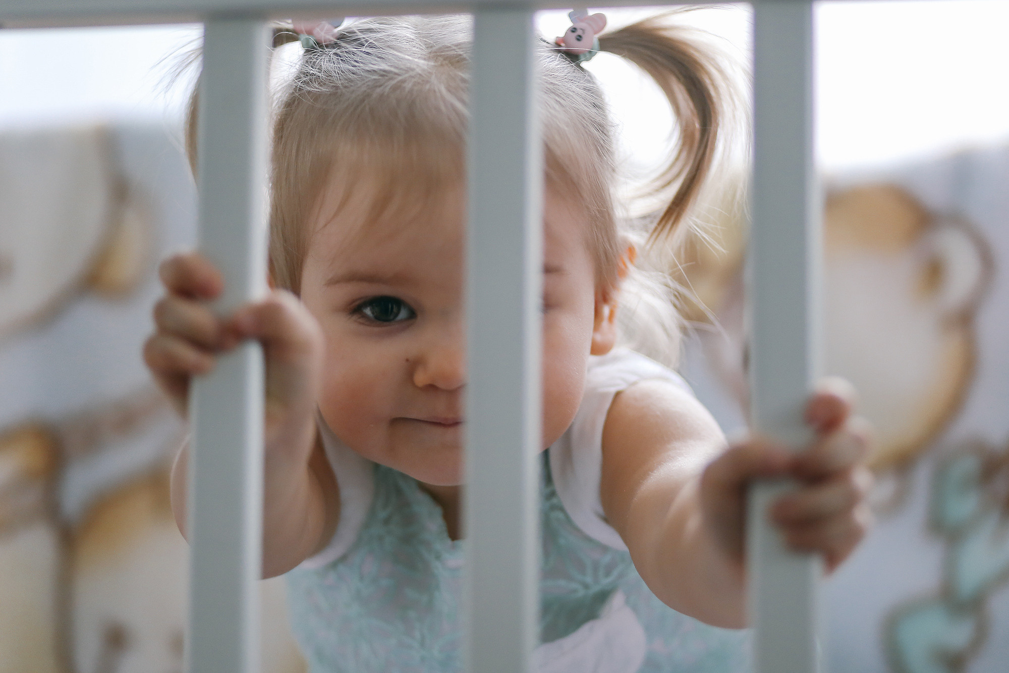 Дома у Алисы и Кота. Антонина Морозова, профессиональный семейный фотограф видеограф