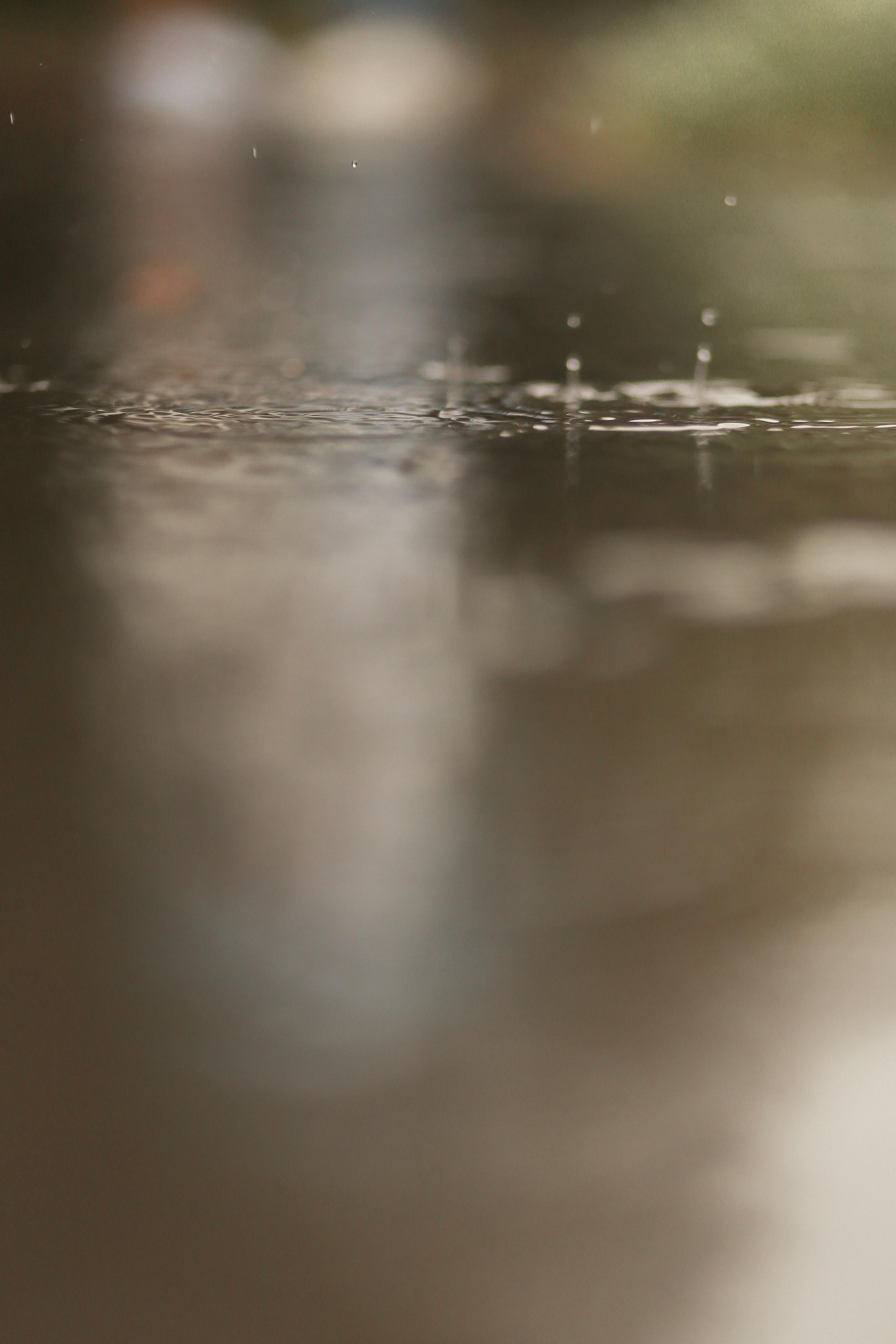 Андрей и Наталья. Дубна. Антонина Морозова, профессиональный семейный фотограф видеограф