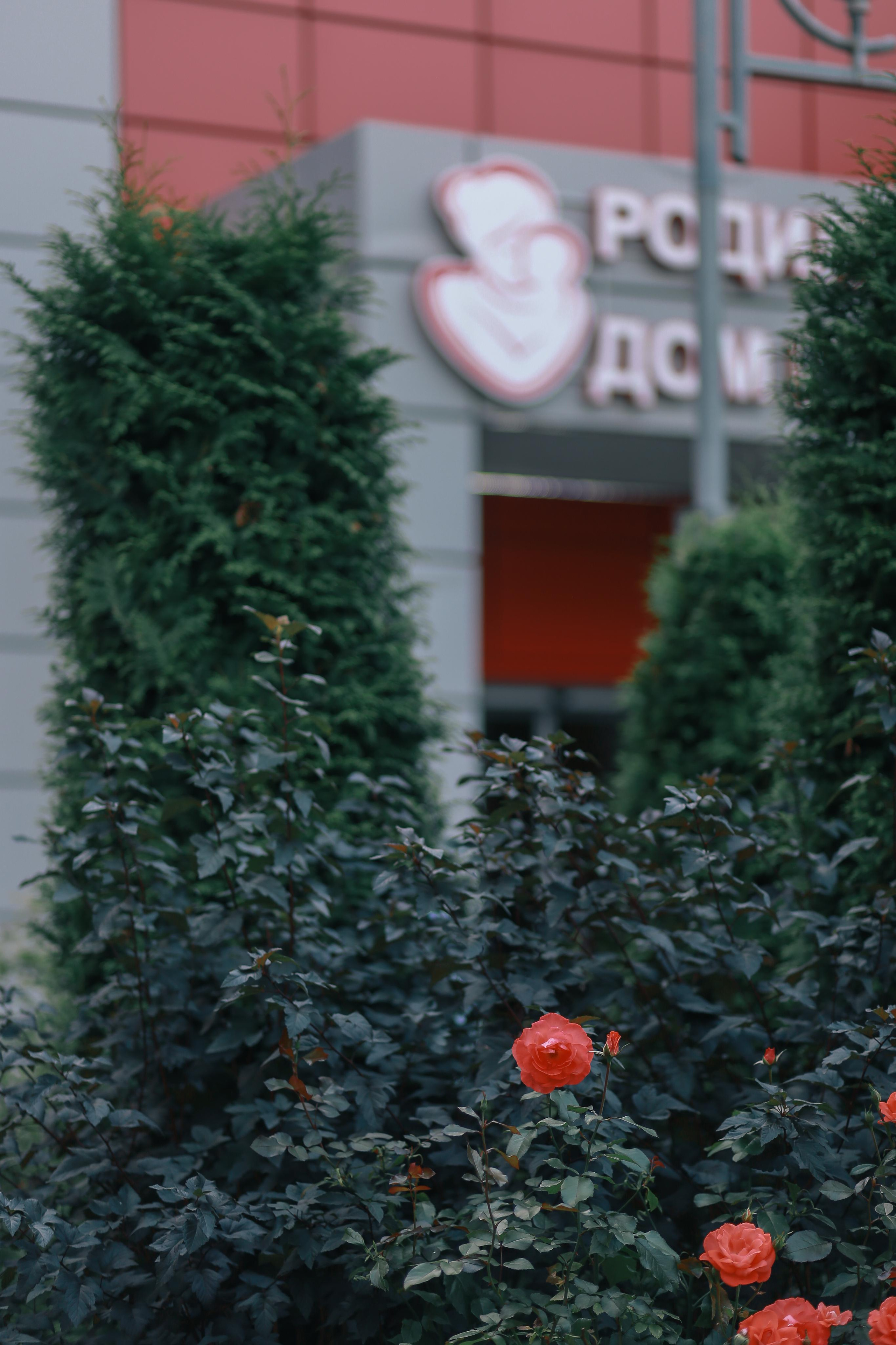 Выписка Катюши. Антонина Морозова, профессиональный семейный фотограф видеограф