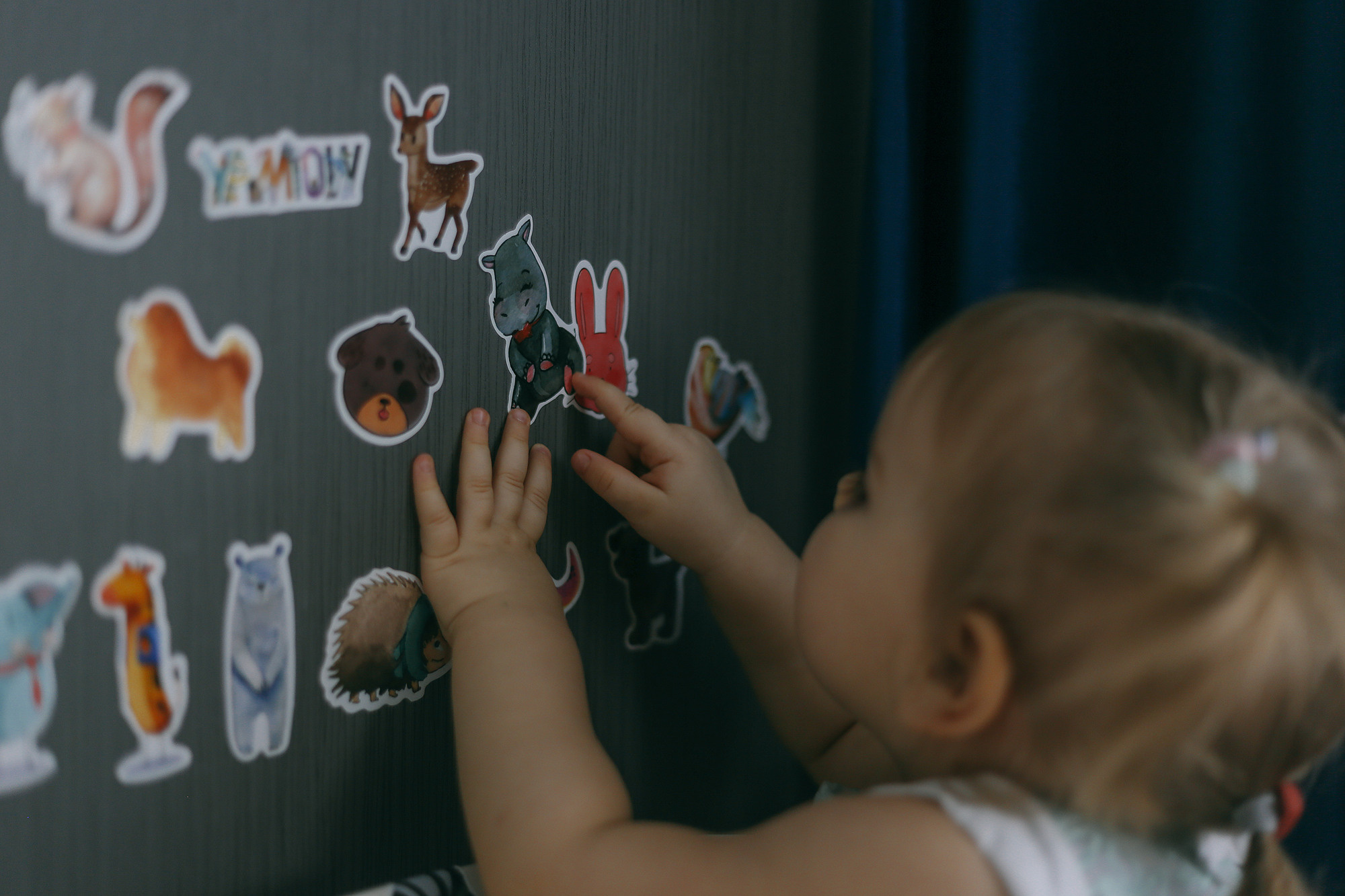 Дома у Алисы и Кота. Антонина Морозова, профессиональный семейный фотограф видеограф