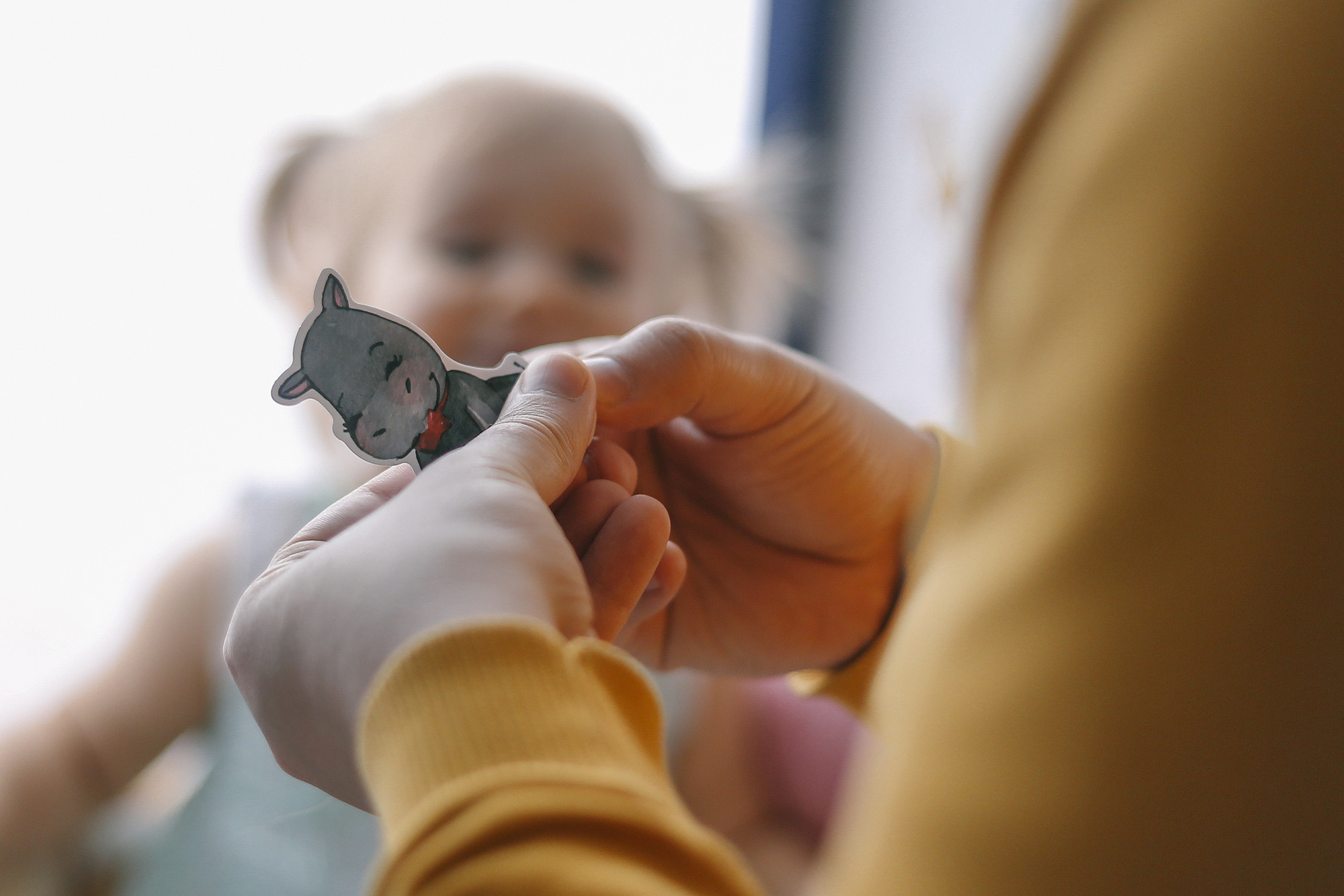 Дома у Алисы и Кота. Антонина Морозова, профессиональный семейный фотограф видеограф