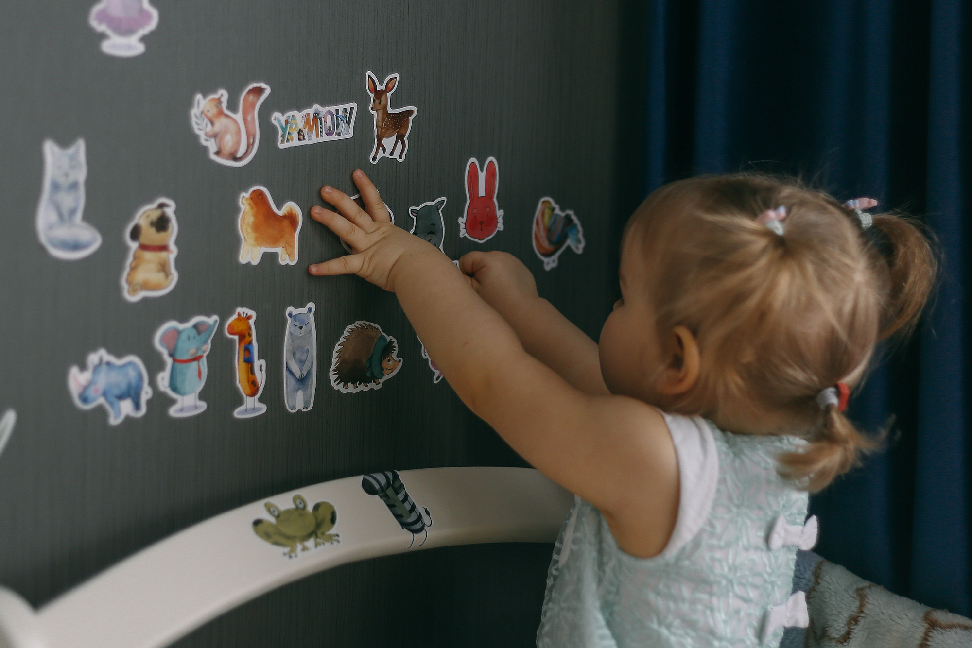 Дома у Алисы и Кота. Антонина Морозова, профессиональный семейный фотограф видеограф