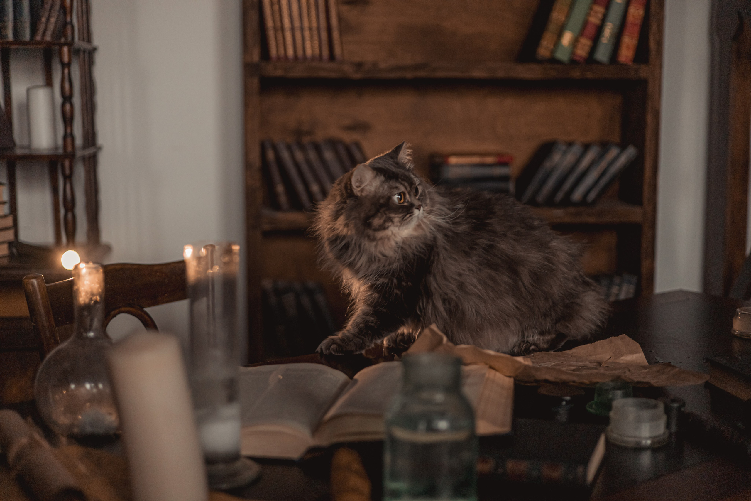 Алхимики. KATERINA VINOKUROVA ФОТОГРАФ ПЕРМЬ