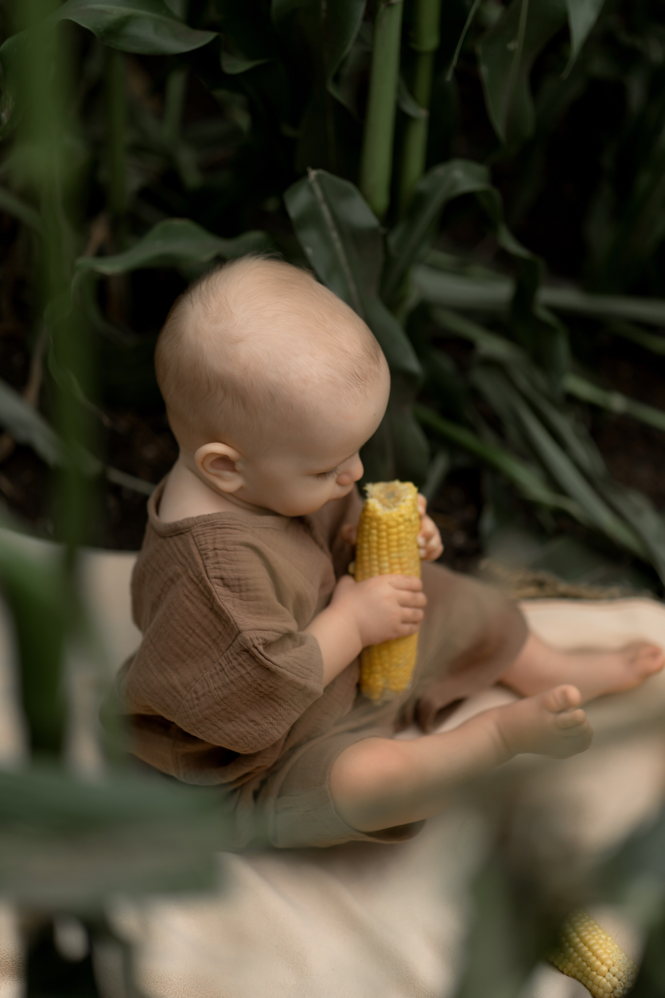 Прогулка в кукурузе. Фотограф в Красноярске. Юлия Чаушанская