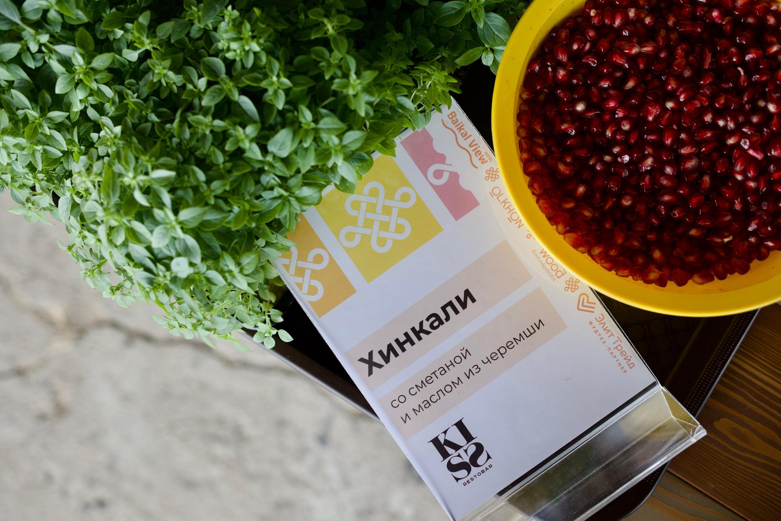 Репортаж. Пилот, фотограф и оператор Баркалова Светлана