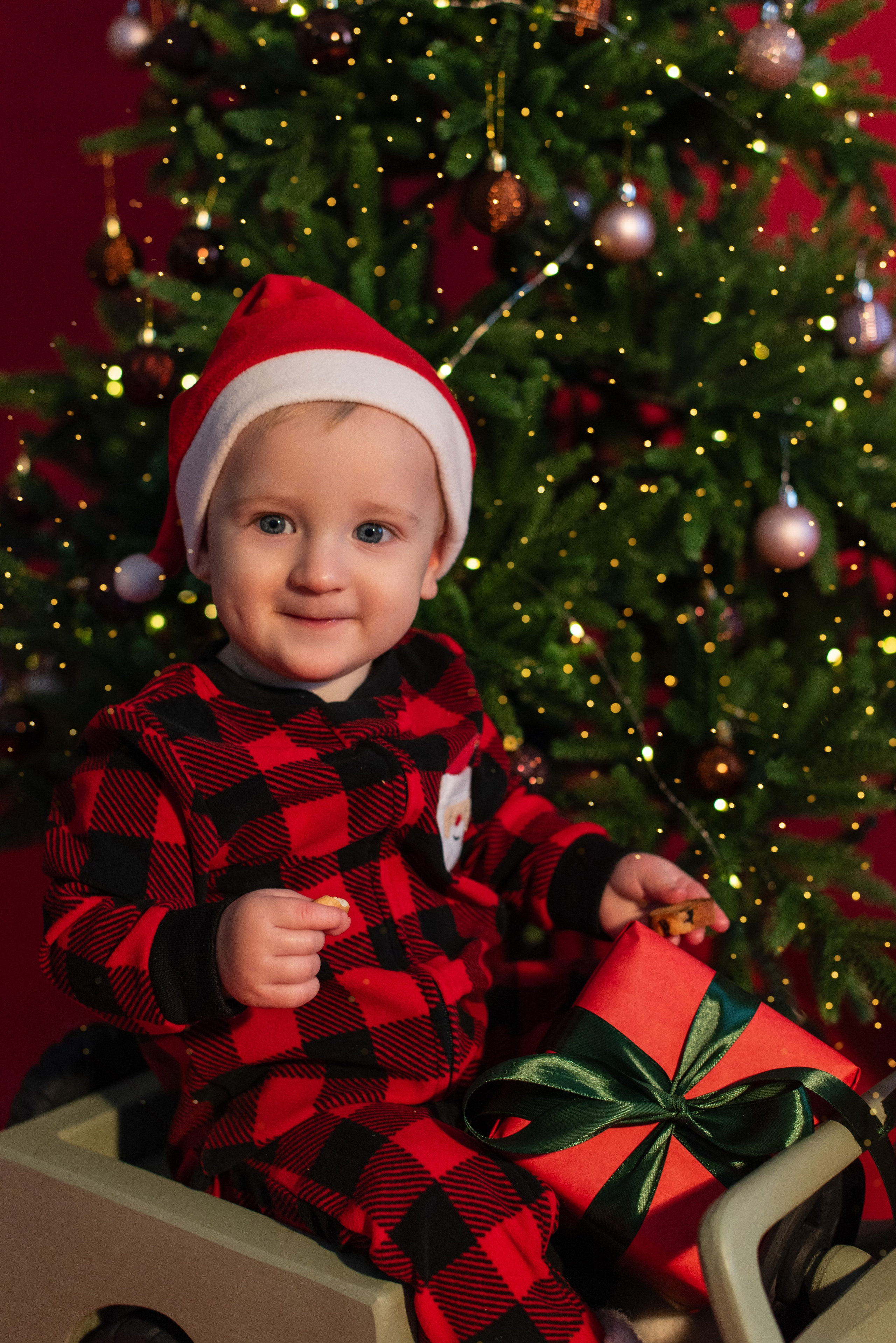 Новый год. Фотограф новорожденных и беременности Сергиев Посад Усачева Ирина