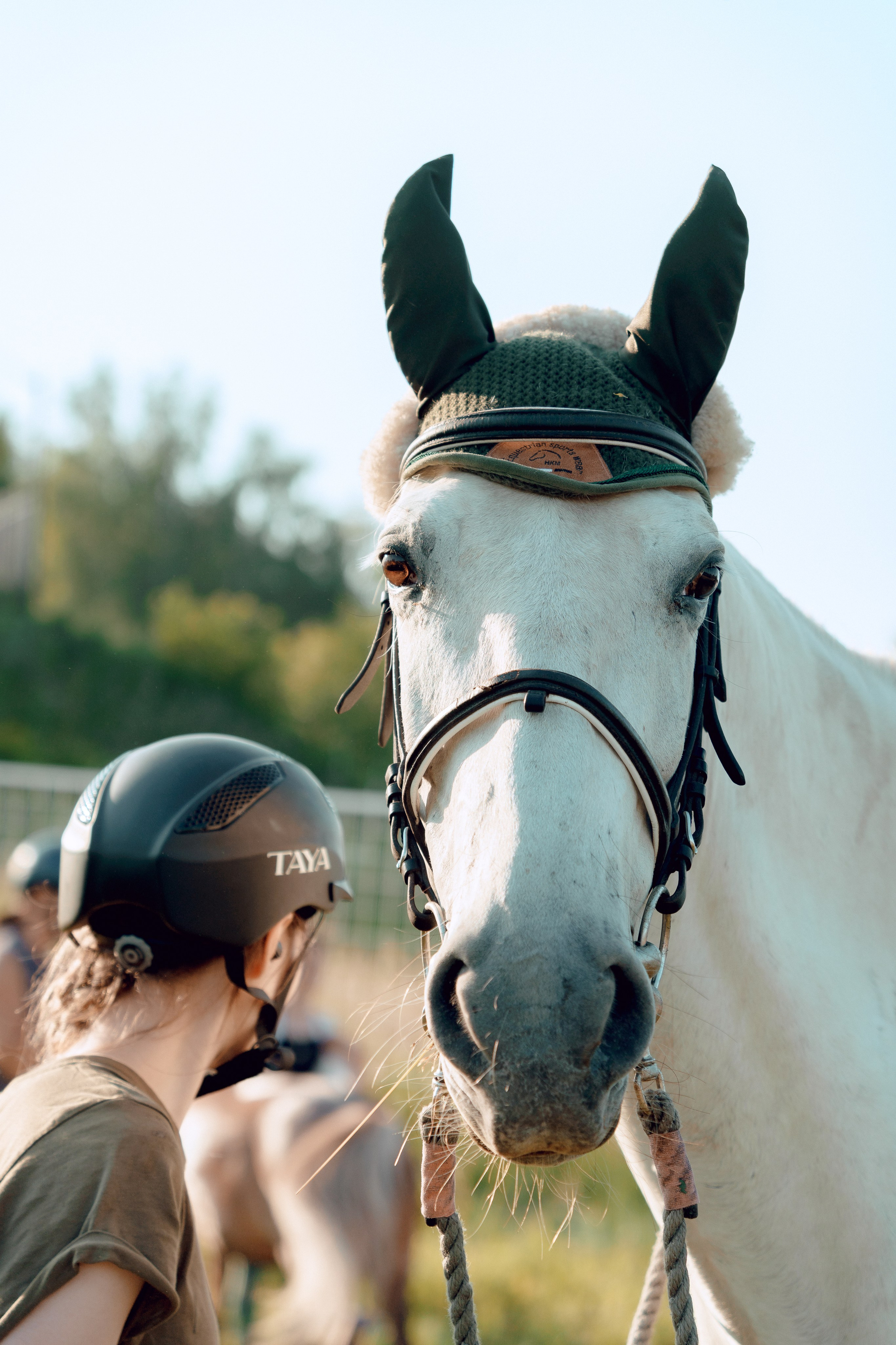 Купание лошадей 05.07.2024. Портретный и семейный фотограф в Москве/Видное