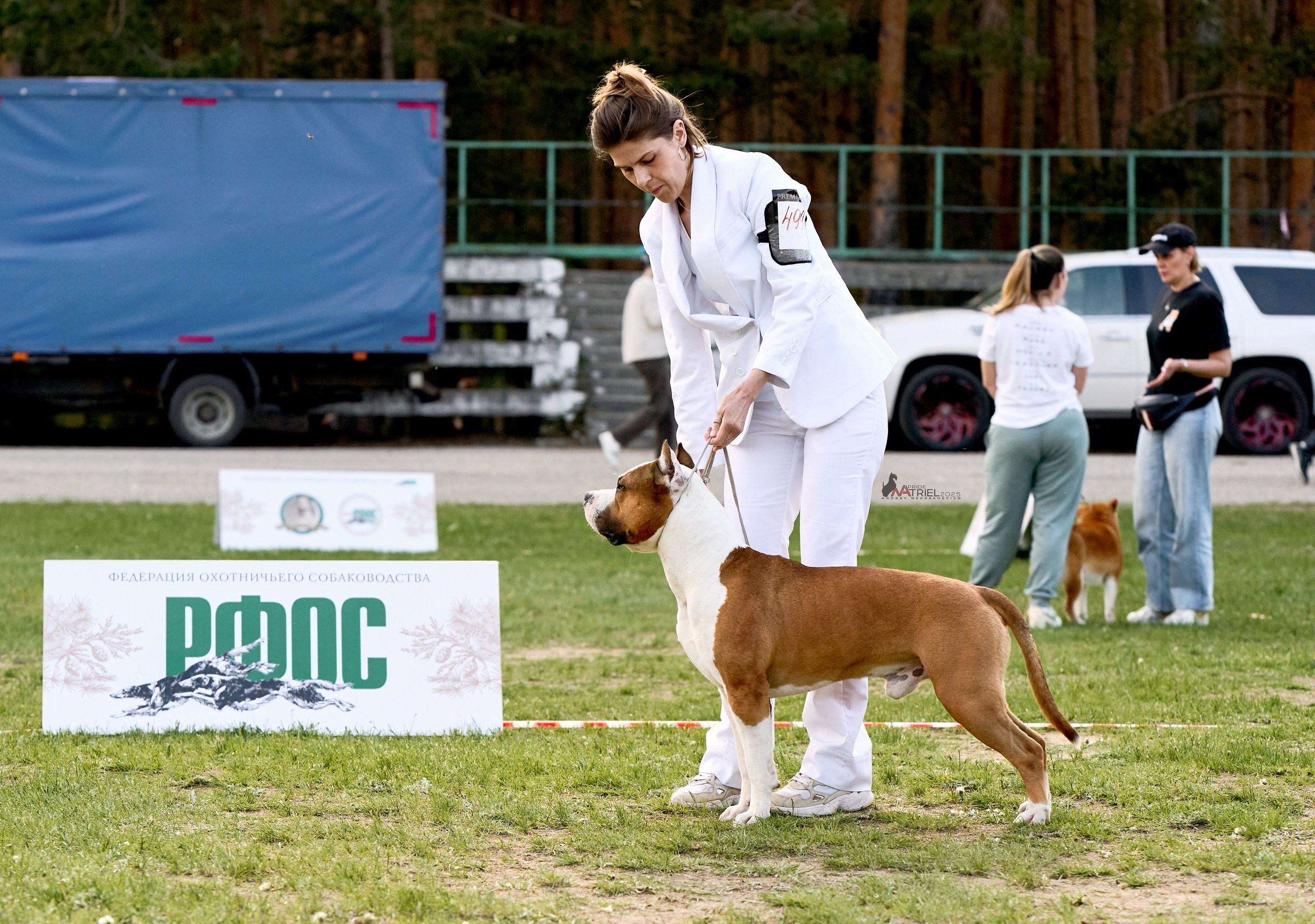 Выставка собак Суздаль-Владимир