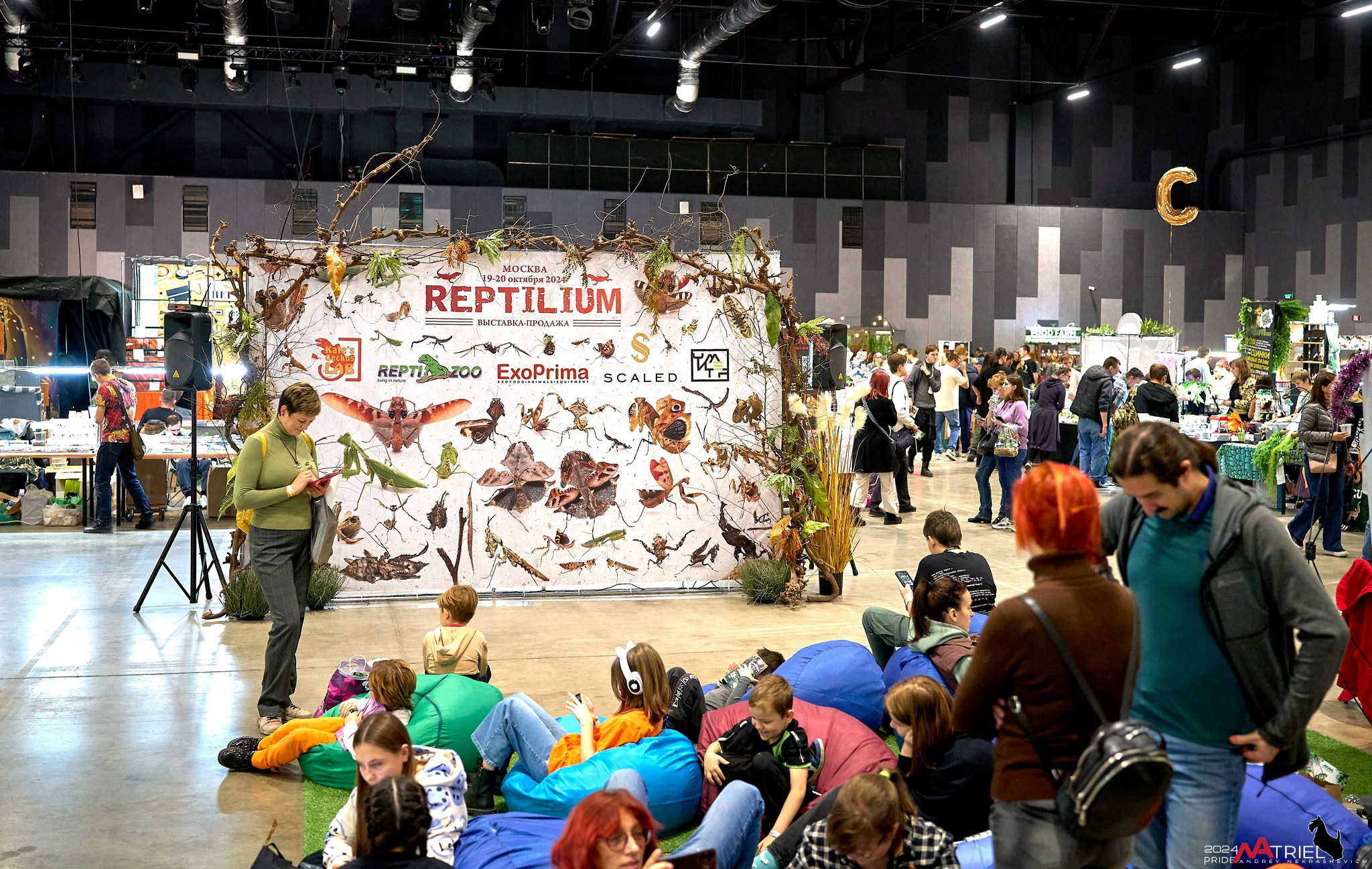 Выставки животных — галерея NATRIEL