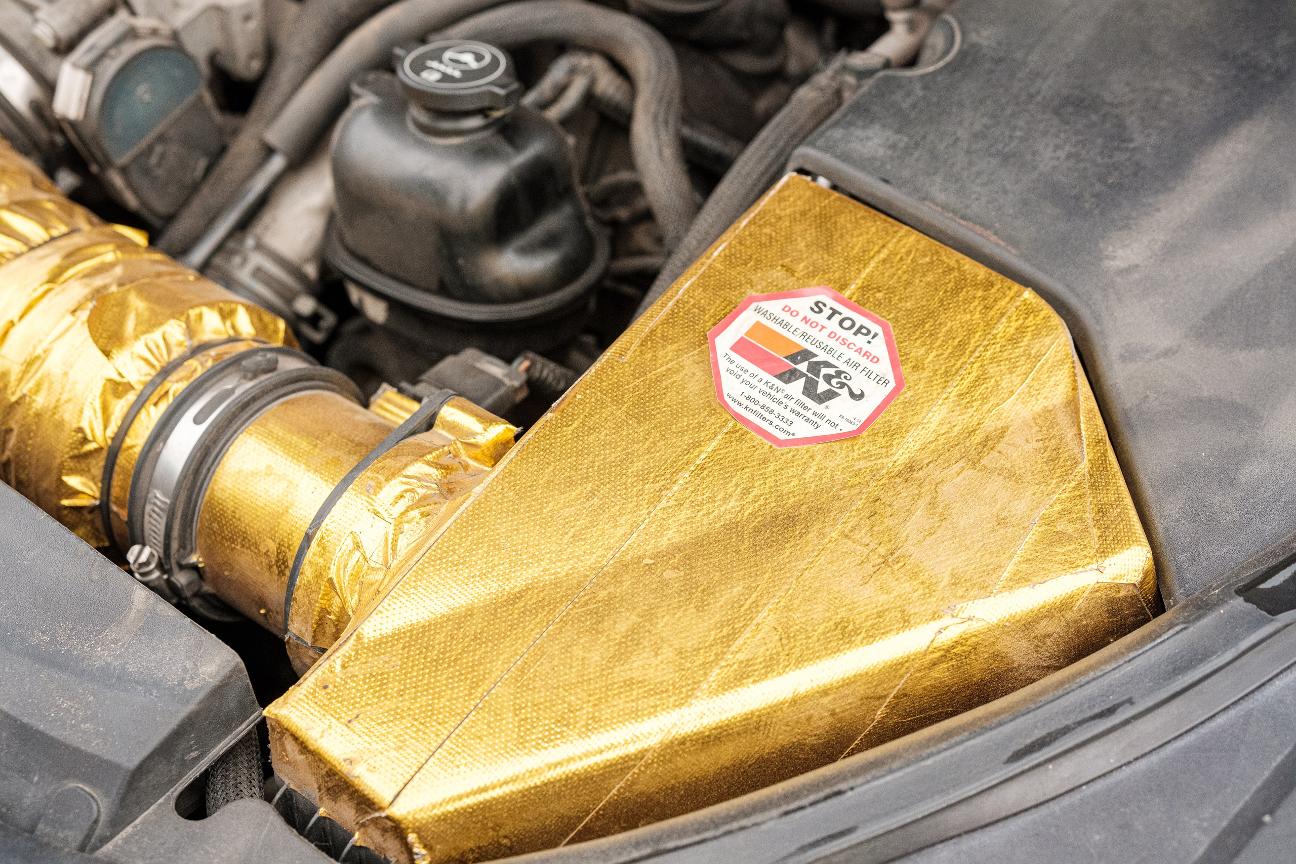 Кэдди. Алексей Никифоров фотограф Москва, Химки