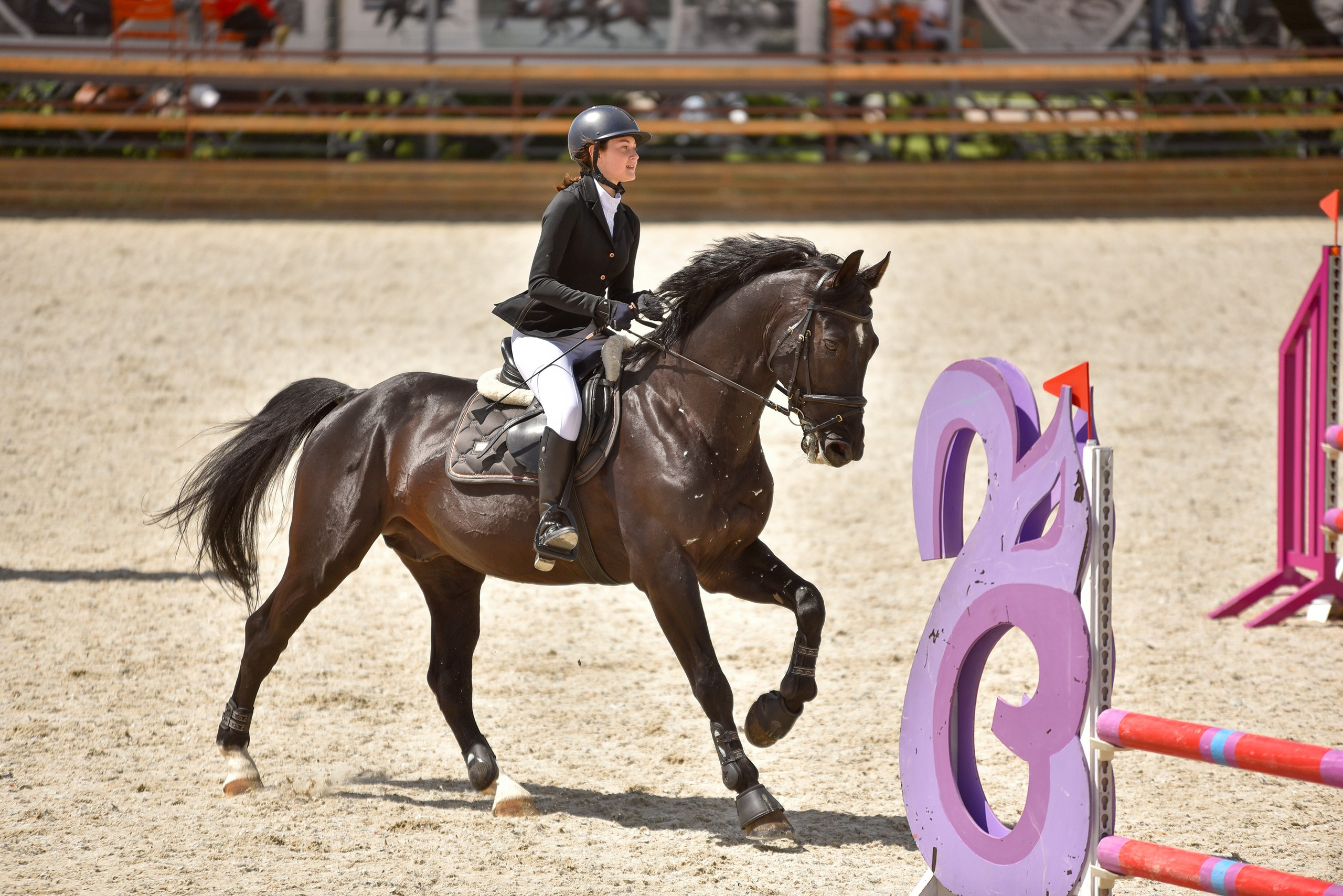 Репортажная съемка конных мероприятий. Конный фотограф из Москвы Ирина Бондаркова