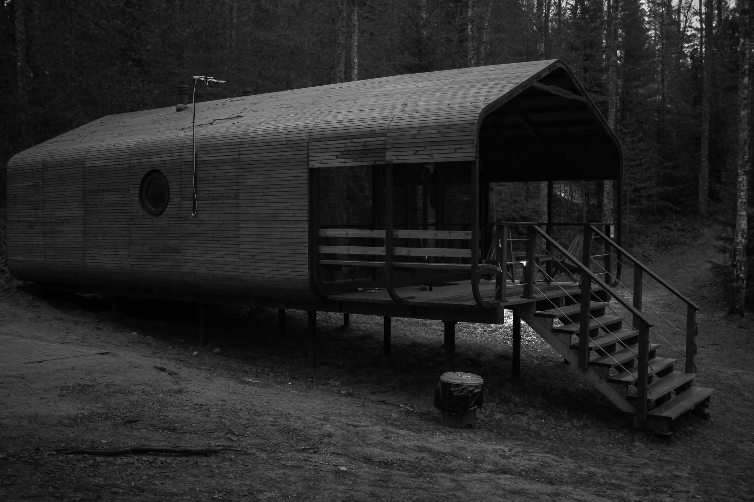 Лес и абстрактность. Портретный фотограф DanilNabody