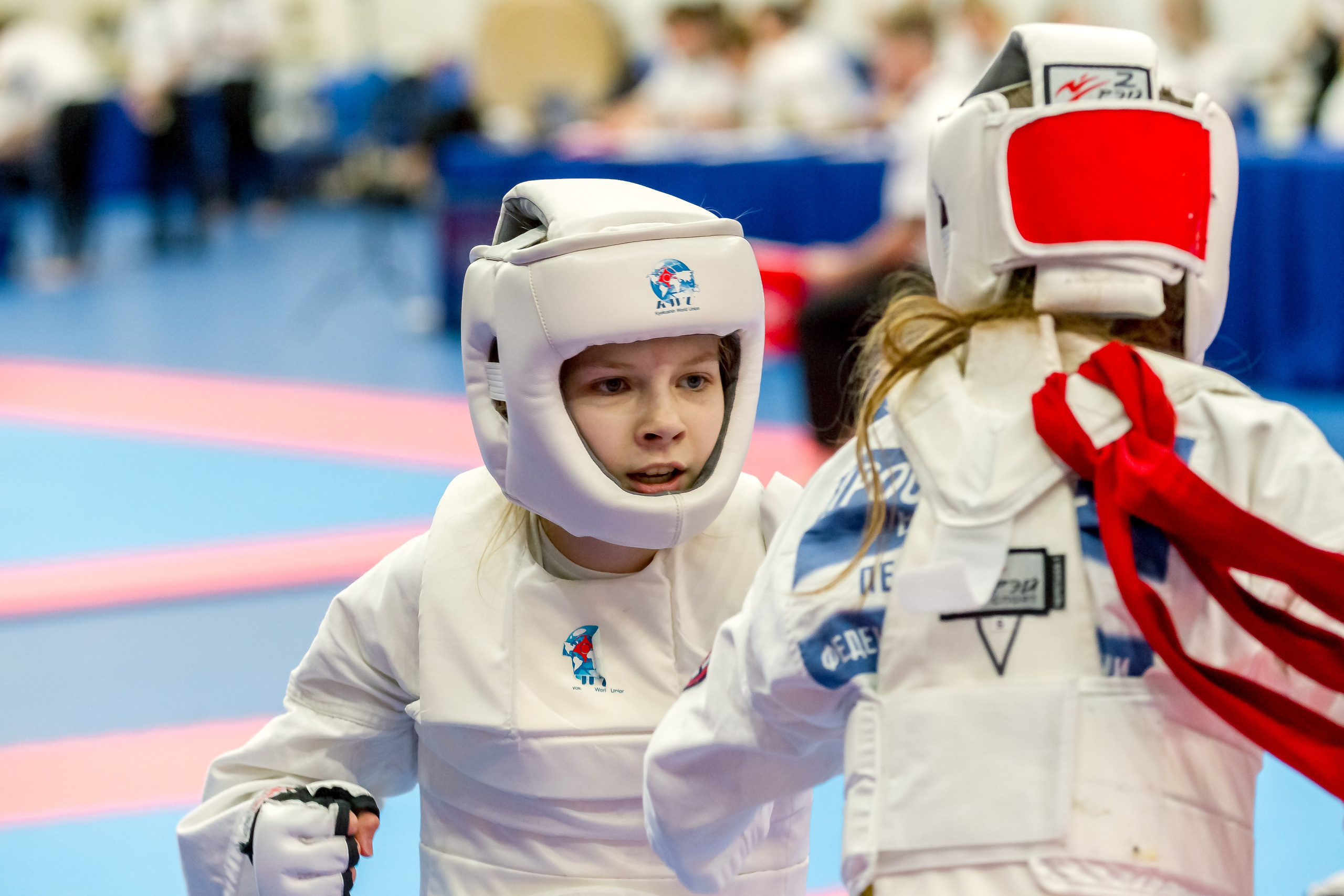 Соревнования по Киокушин памяти С. Увицкого. Репортажная съемка в Москве и области. Анималистика